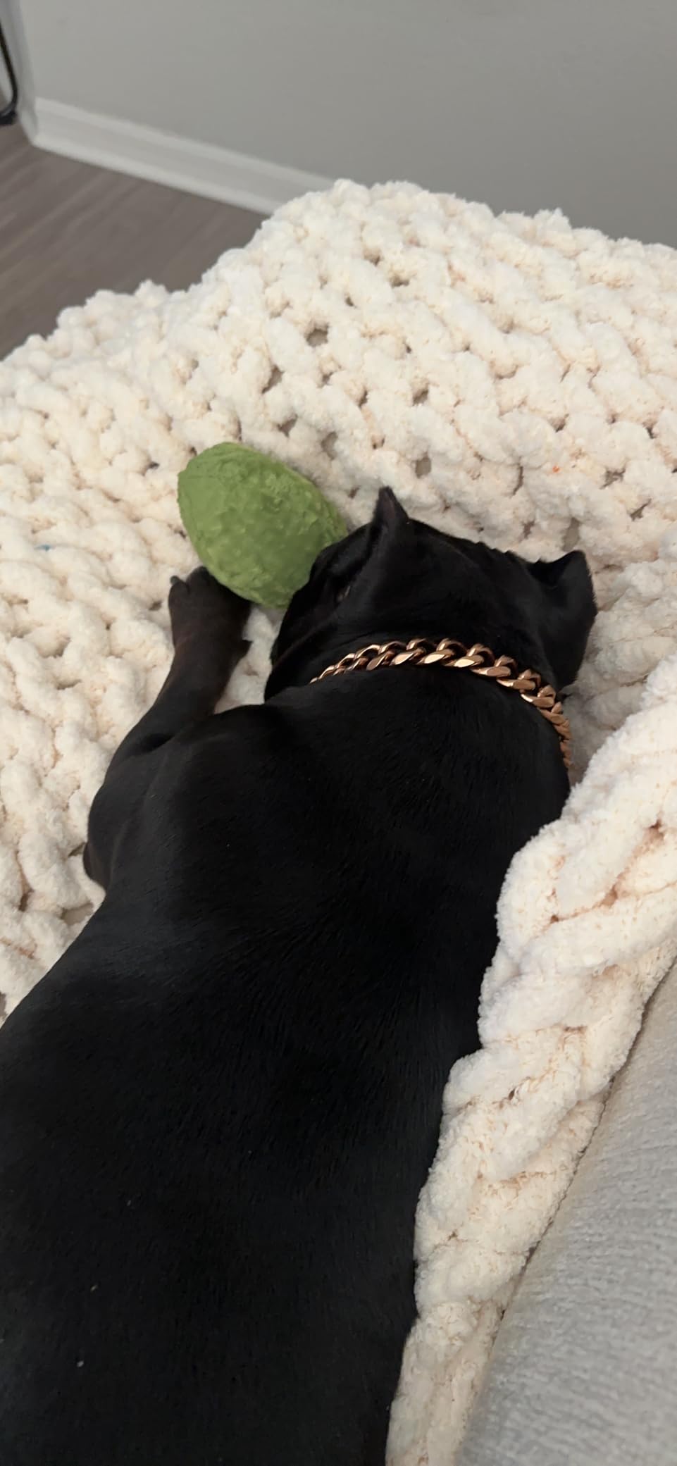 Barkbox 2 in 1 Interactive Plush Dog Toy - Rip and Reveal Toy for Dogs and Puppies - Stimulating Squeaky Pet Toys | Prickly Pete (Small) customer photo 1