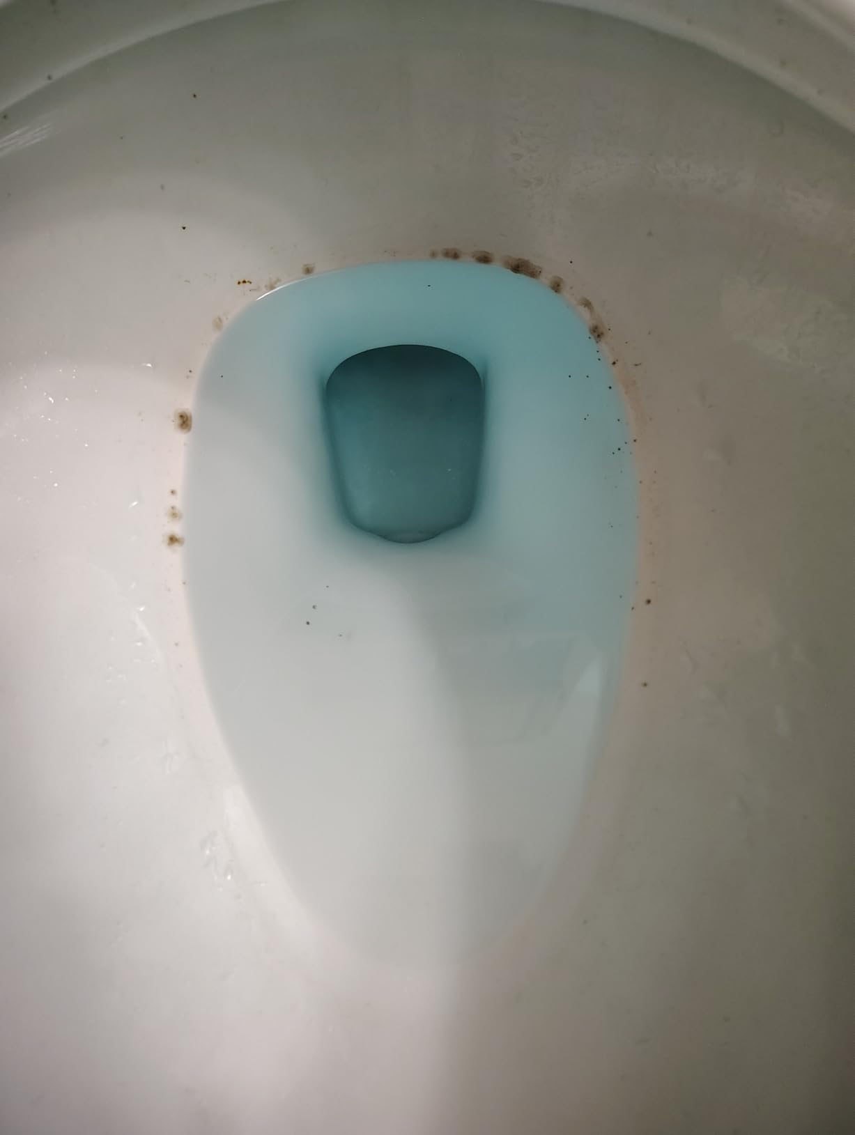 ACTIVE Automatic Toilet Bowl Cleaner Tablets Blue Gel Toilet Tank Cleaners, Septic-Safe Hard Water Ring Stain Remover, Smell Eliminator Heavy Duty Toilet Cleaning & Deodorizer, Fresh Scent - 12 Tabs customer photo 1