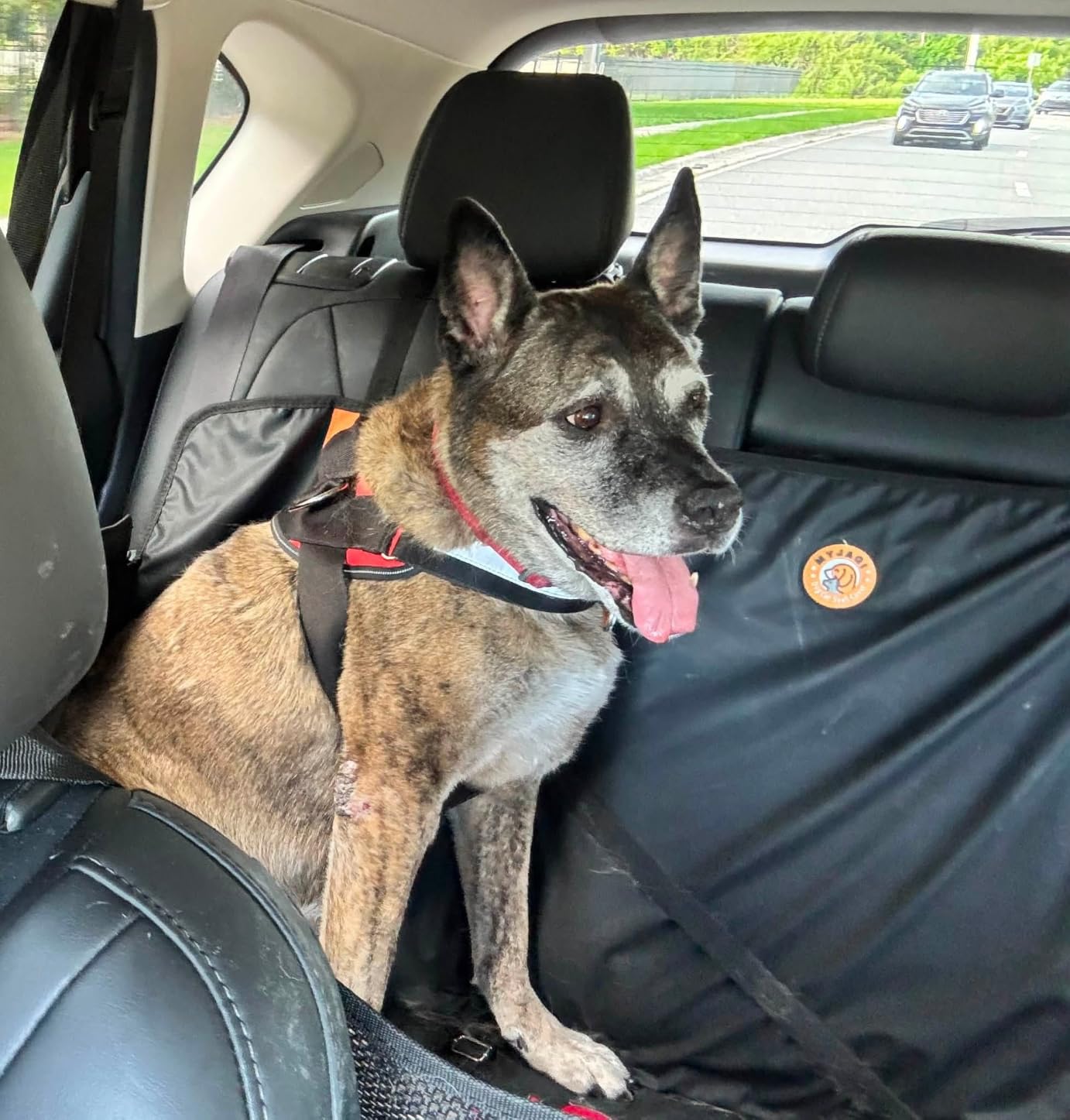 Hard Bottom Dog Car Seat Cover for Back Seat, PU Leather Dog Seat Extender | 100% Waterproof, Anti Scratch, Safer, Easy to Use and Clean, Holds 400lbs, Dog Hammock for Cars, SUVs, Trucks customer photo 1