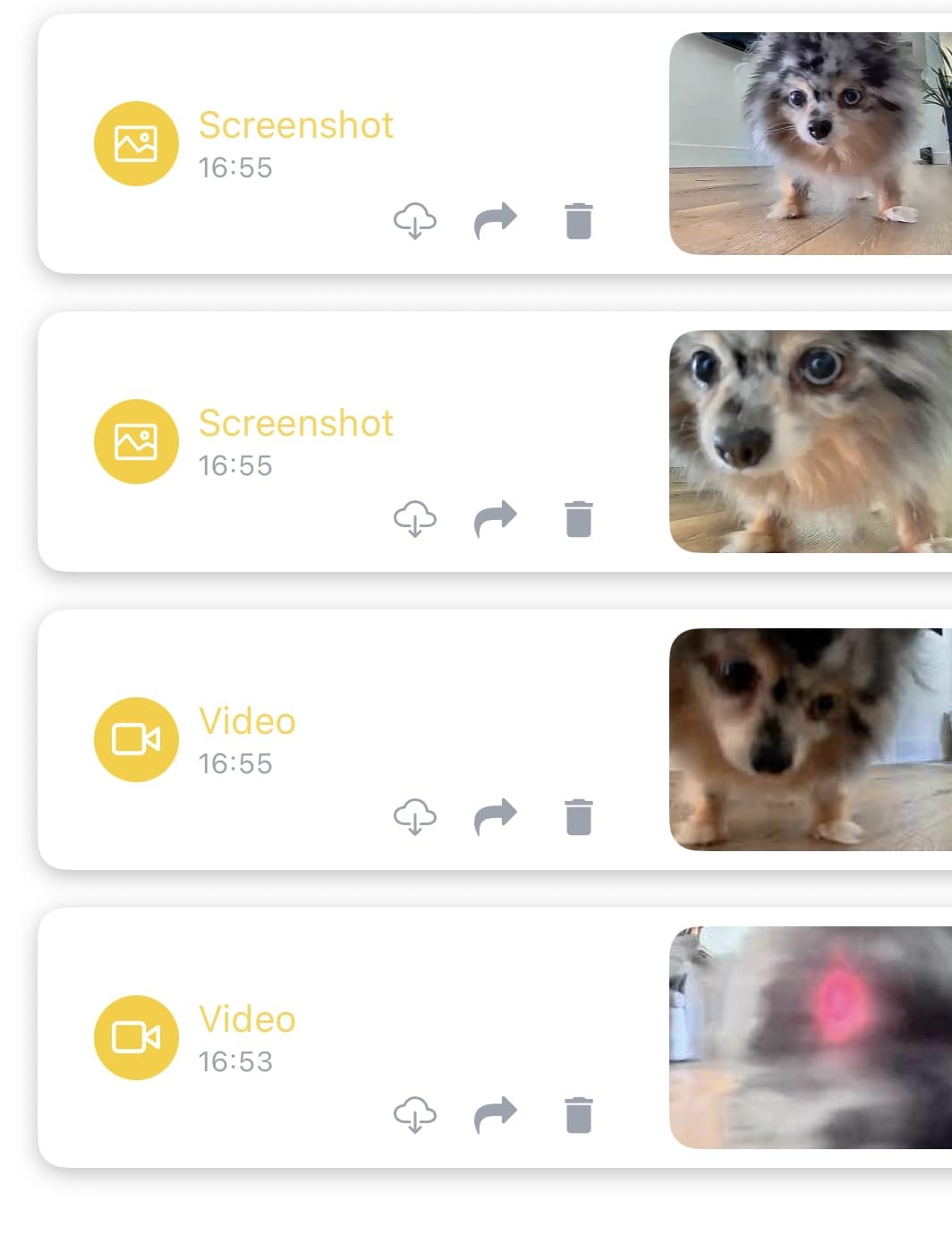 Pet Camera Robot with Treat Dispenser & Laser, Moving Cat Robot Camera for Dogs and Cats with Two-Way Audio, App Remote Control, Auto Recharge, Night Vision - BQ70 customer photo 1