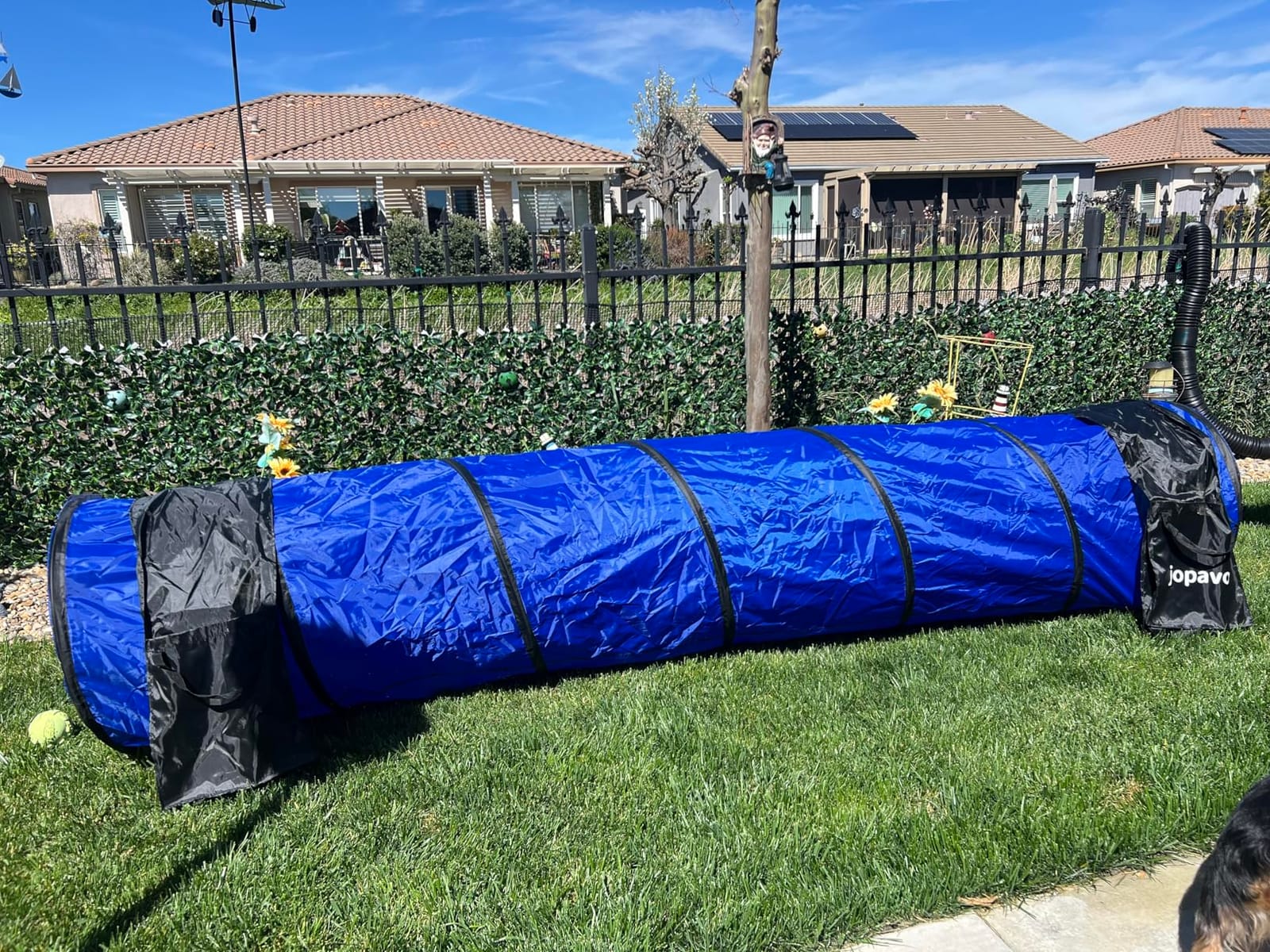 Dog Agility Training Equipment Tunnel: JOPAVO 10 Foot Agility Tunnel with 2 Pack Sandbags, Carry Bag and 4 Ground Spikes. Ideal Agility Equipment for Dog Obstacle Course, Exercise & Park customer photo 1