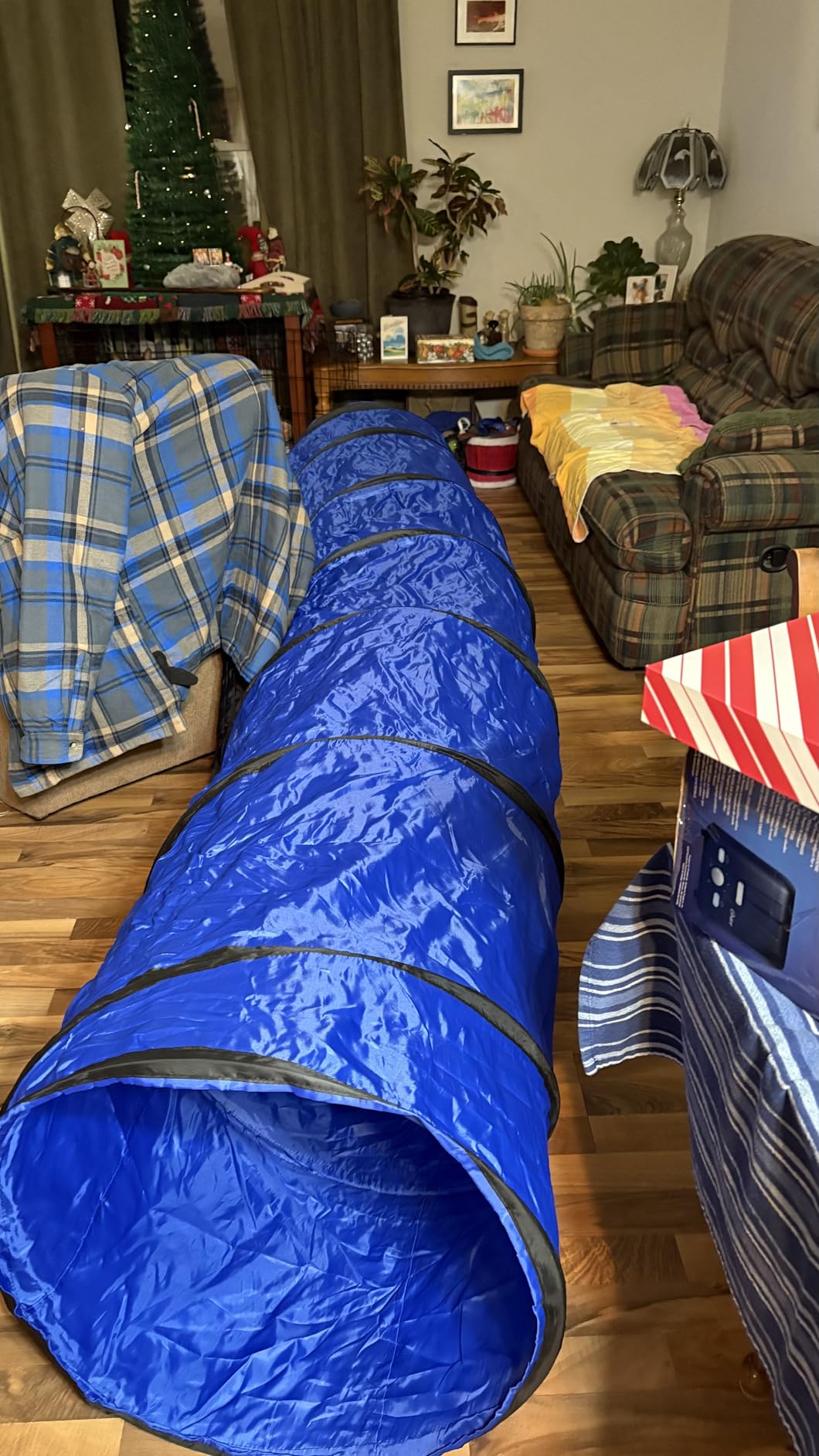 Dog Agility Training Equipment Tunnel: JOPAVO 10 Foot Agility Tunnel with 2 Pack Sandbags, Carry Bag and 4 Ground Spikes. Ideal Agility Equipment for Dog Obstacle Course, Exercise & Park customer photo 2