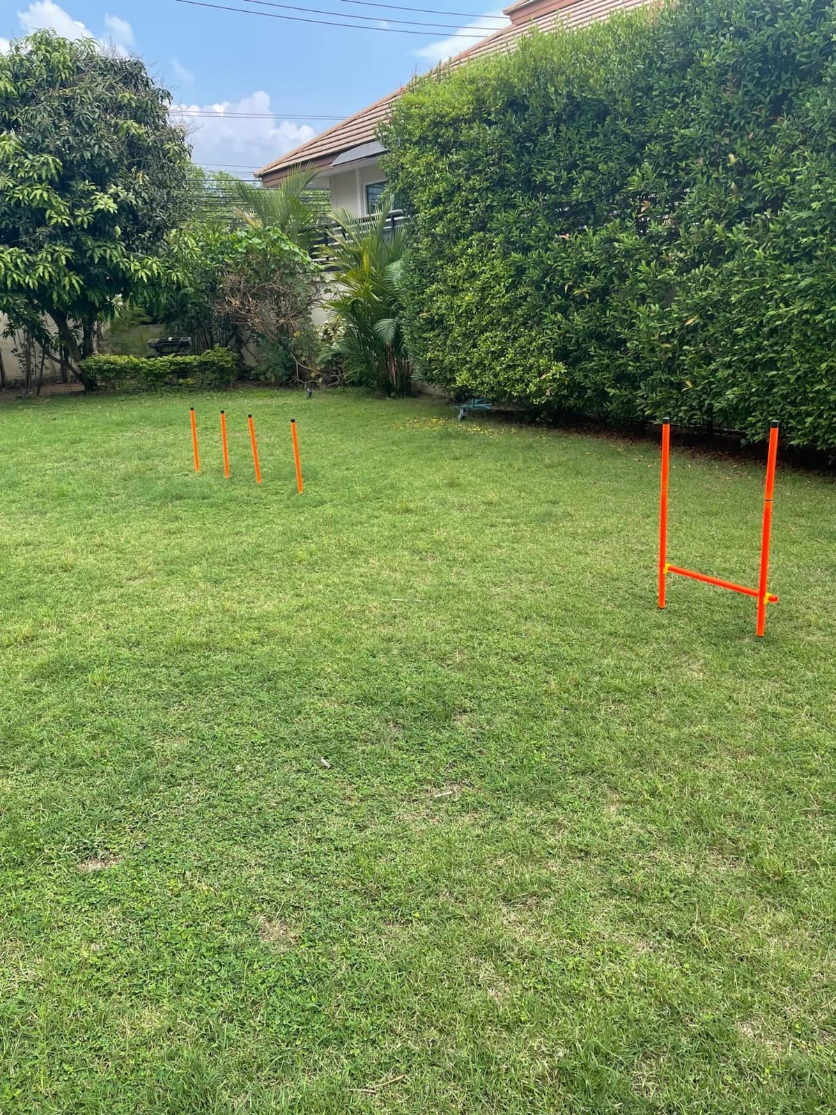 XiaZ Dog Agility Course Backyard Set, Dog Obstacle Course Training Starter Kit Pet Outdoor Game with Tunnel, Agility Hurdle, Weave Poles, Jump Ring, Pause Box, Collapsible Dog Bowls and Storage Bag customer photo 1