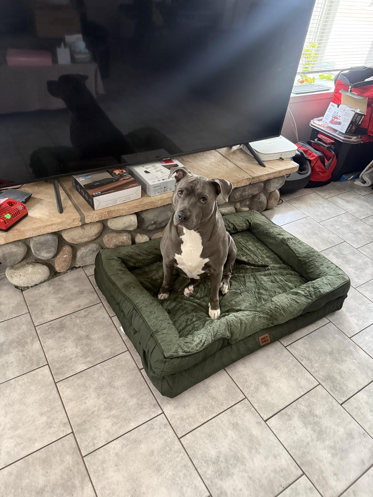 EHEYCIGA Orthopedic XL Dog Bed for Large Dog, Memory Foam Dog Couch | 42x30 Inch Extra Large Sized Dog Sofa with Sides, Waterproof Liner & Washable Removable Cover, Bolster Pet Couch customer photo 1