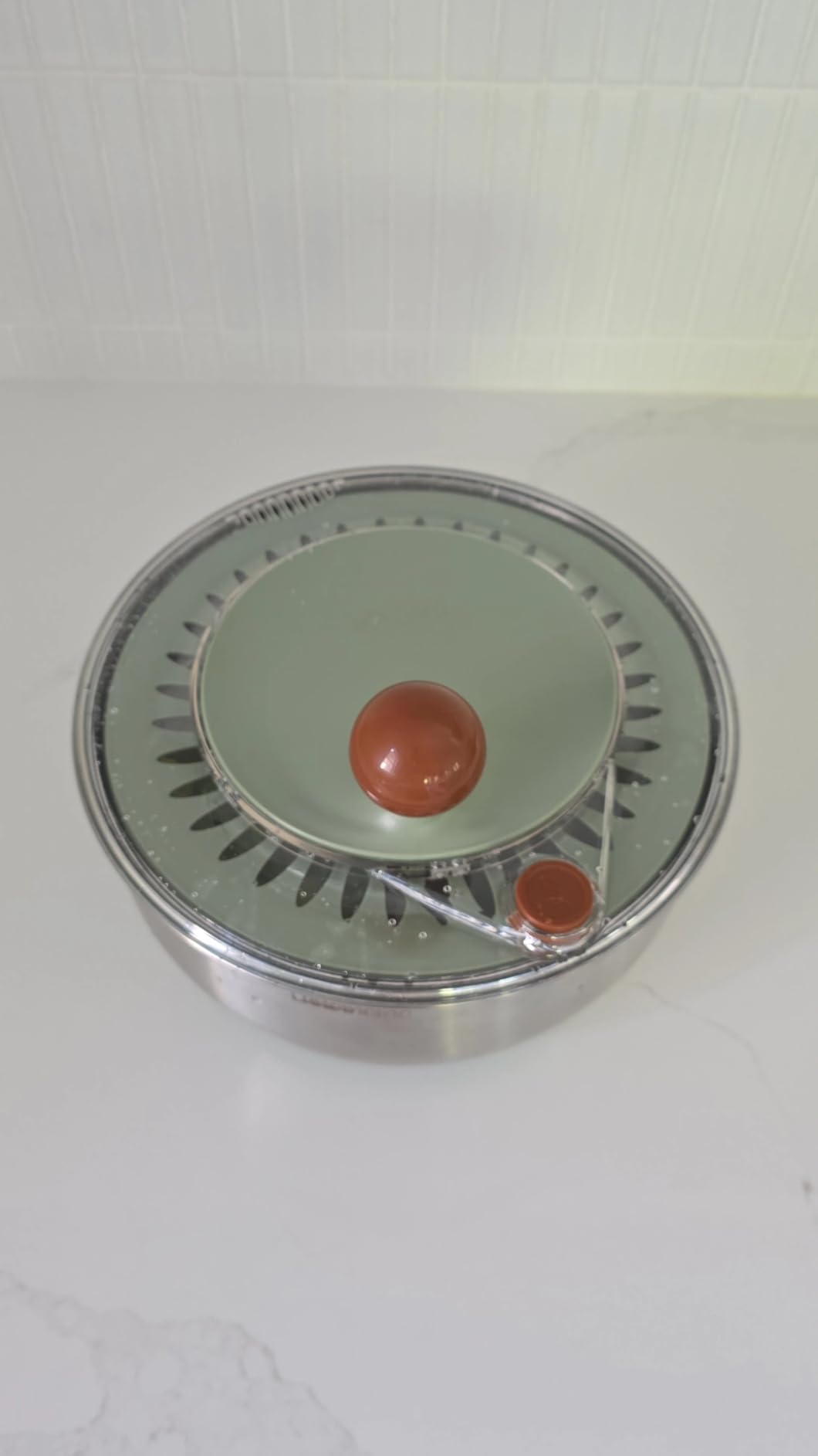 Lunememo Stainless Steel Salad Spinner, BPA Free, Quick Dry & Stop, 5.3 Qt, Non-Slip Lettuce Veggie Spinner, Drain, Stop Button, Dishwasher Safe customer photo 1