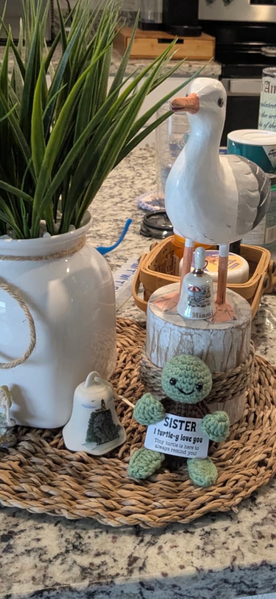 4THFARMES Mini Funny Turtle Brother Gifts from Sister Brother Birthday Gifts for Men Boys Friends Presents, I Love You Small Cool Cute Stuff Things, Handmade Emotional Positive Crochet Turtle customer photo 2