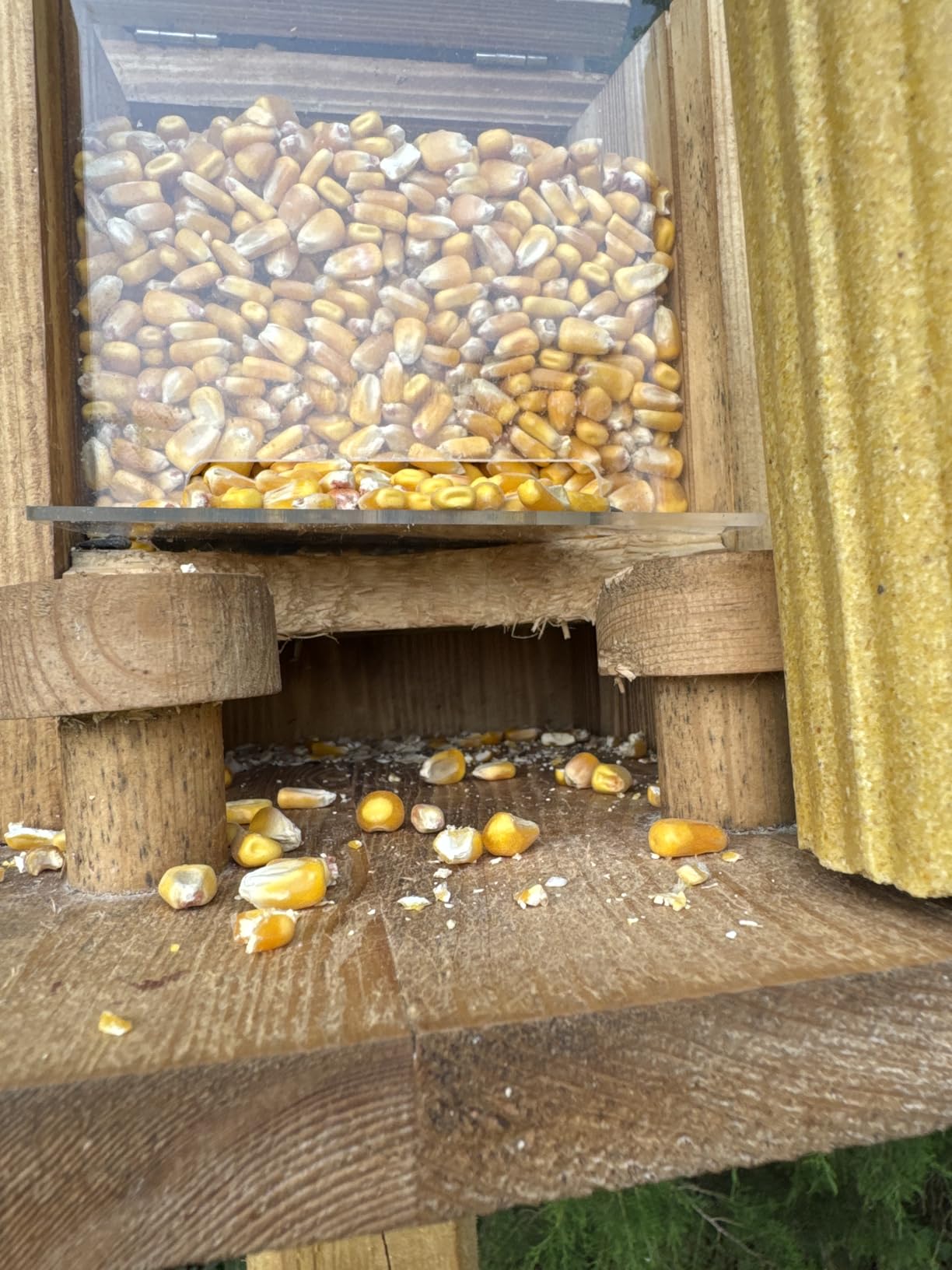Squirrel Feeder for Outside, Durable Wooden Squirrel Feeder Platform, Funny Squirrel Houses Picnic Table, Squirrel Feeders for Outdoors Tree Peanuts Nuts Corn Cobs Holder Wooden Chipmunk Feeder Box customer photo 2