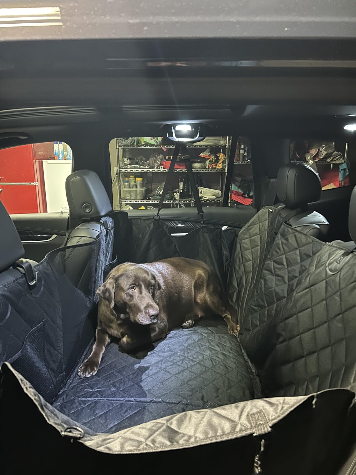 URPOWER PU Leather Back Seat Extender for Dogs, Hard Bottom Dog Seat Cover | Supports 550 lbs, Stable 3-Panel Hard Bottom, Added High-Density Foam for Comfort, 100% Waterproof, 45% More Space customer photo 1