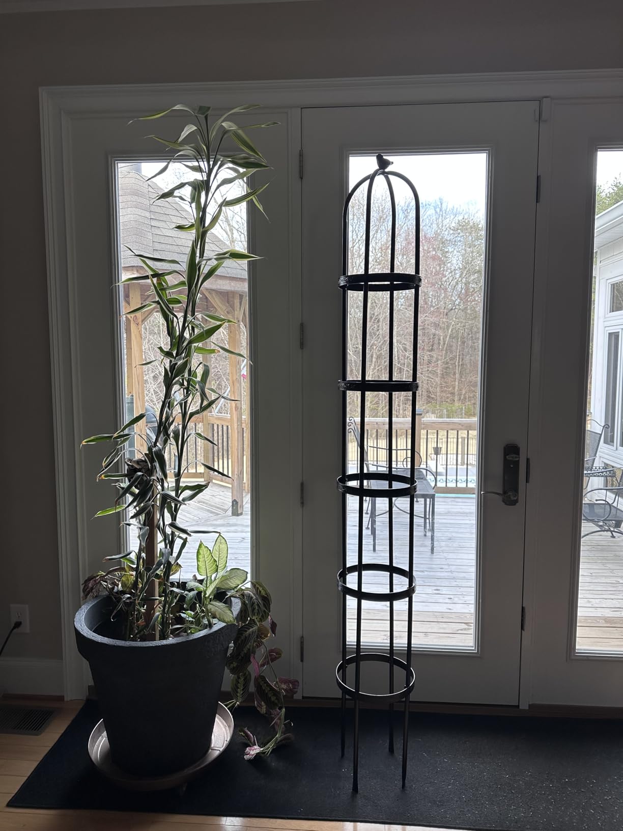 Evergreen 7 ft Garden Trellis for Climbing Plants Outdoor Metal Garden Obelisk, Indoor Plant Trellis for Potted Plants & Heavy Vines Support, Bronze customer photo 1