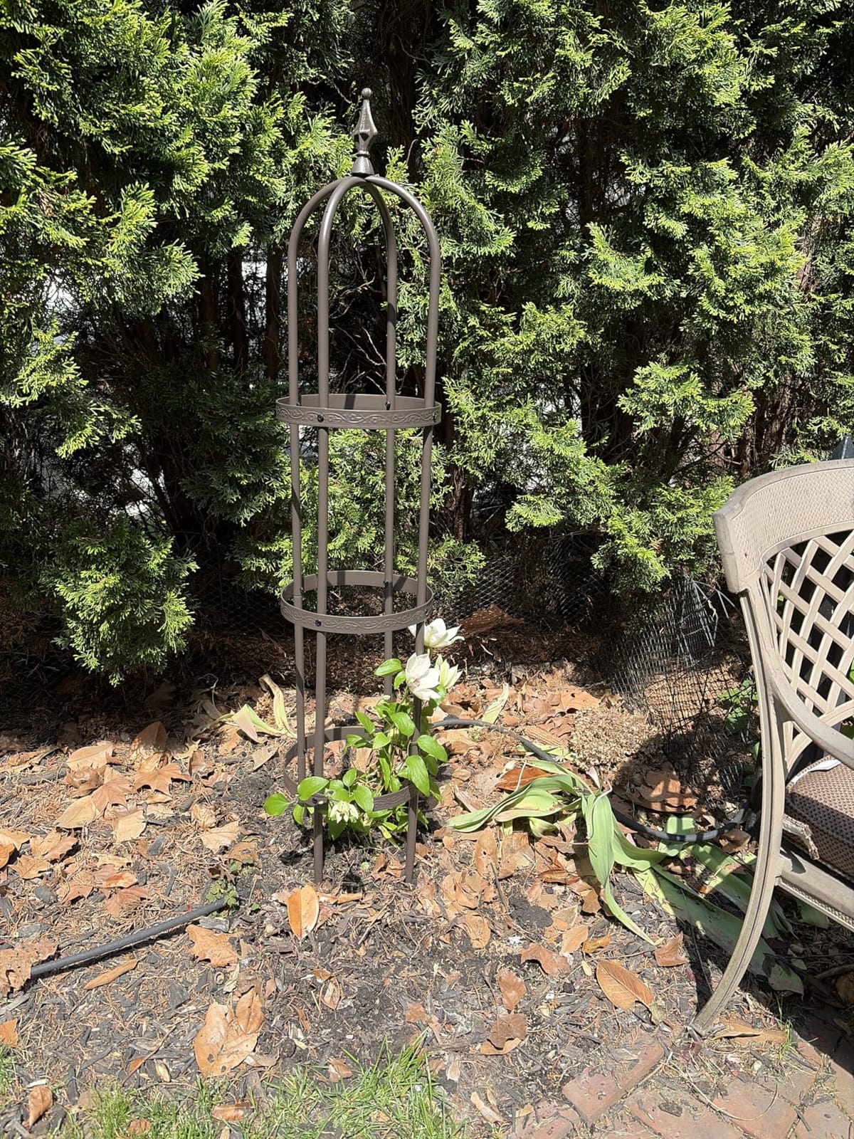 Evergreen 7 ft Garden Trellis for Climbing Plants Outdoor Metal Garden Obelisk, Indoor Plant Trellis for Potted Plants & Heavy Vines Support, Bronze customer photo 2
