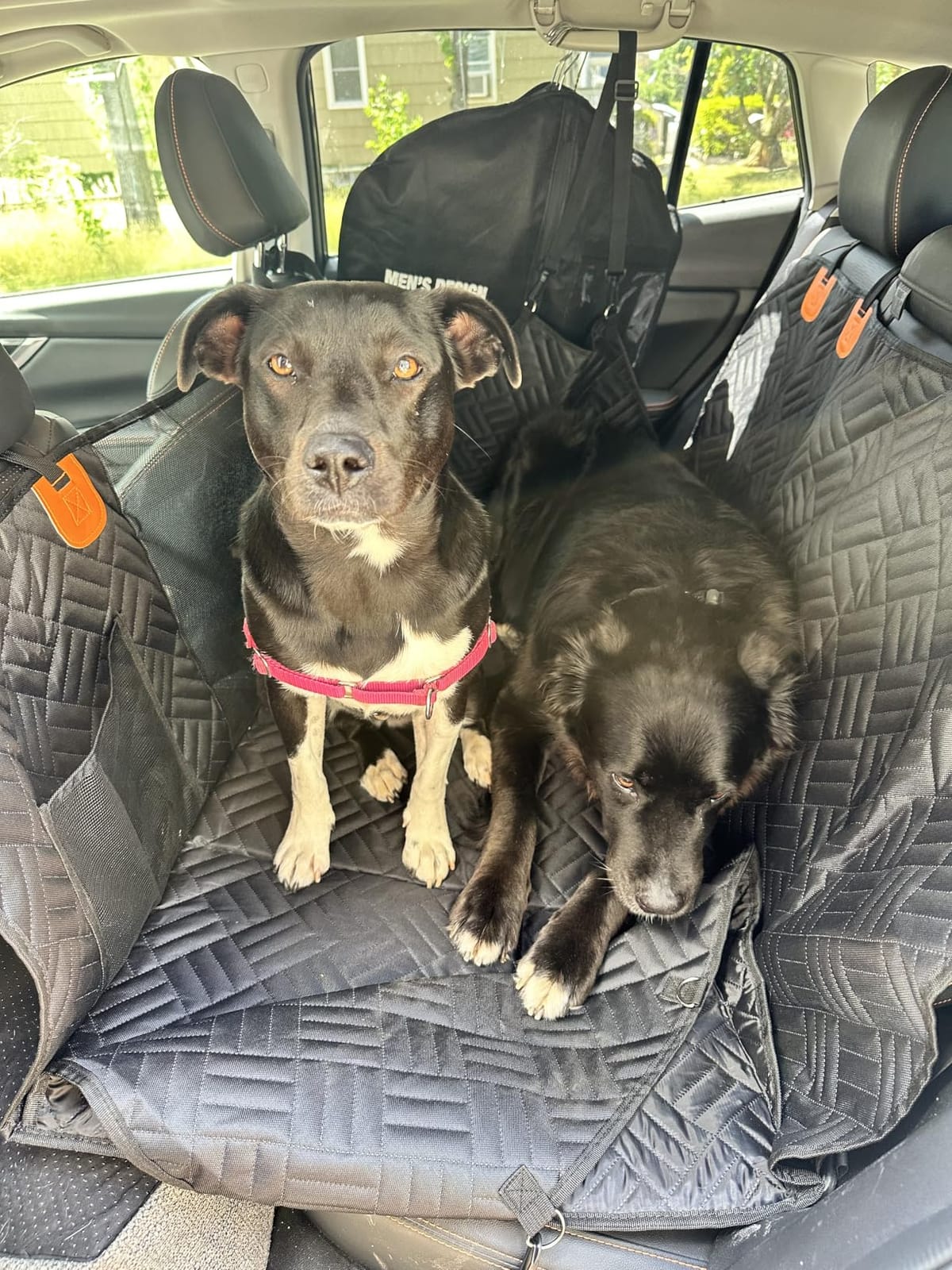 PROZAR Dog Car Seat Cover for Back Seat, Hard Bottom Back Seat Extender | Back Seat Pet Cover for Dogs - Supports 400lbs, Waterproof Heavy Duty Scratch Resistant, Dog Hammock for Car, SUV & Trucks customer photo 1