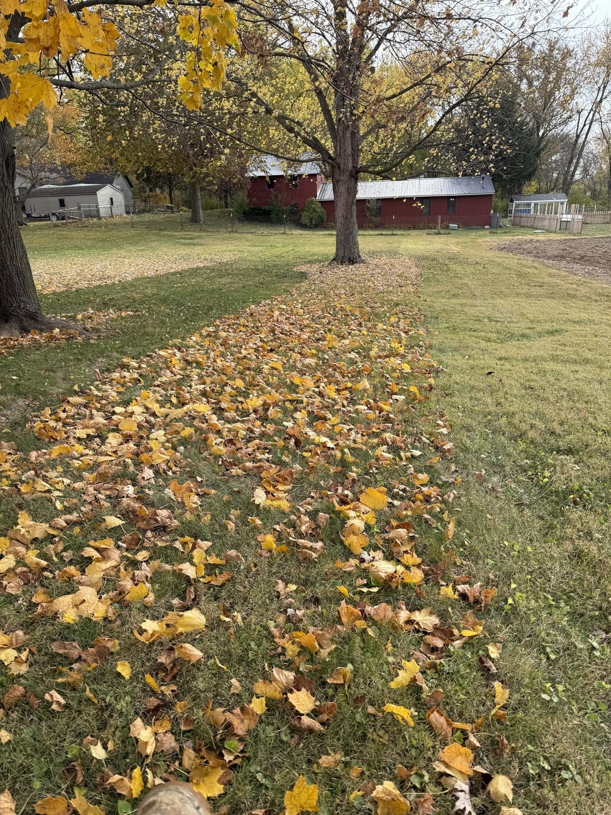 Agri-Fab Soft Top Mow-N-Vac Tow Behind Lawn Vacuum, 29 Cu Ft Leaf and Grass Collection System with 208cc Engine customer photo 1