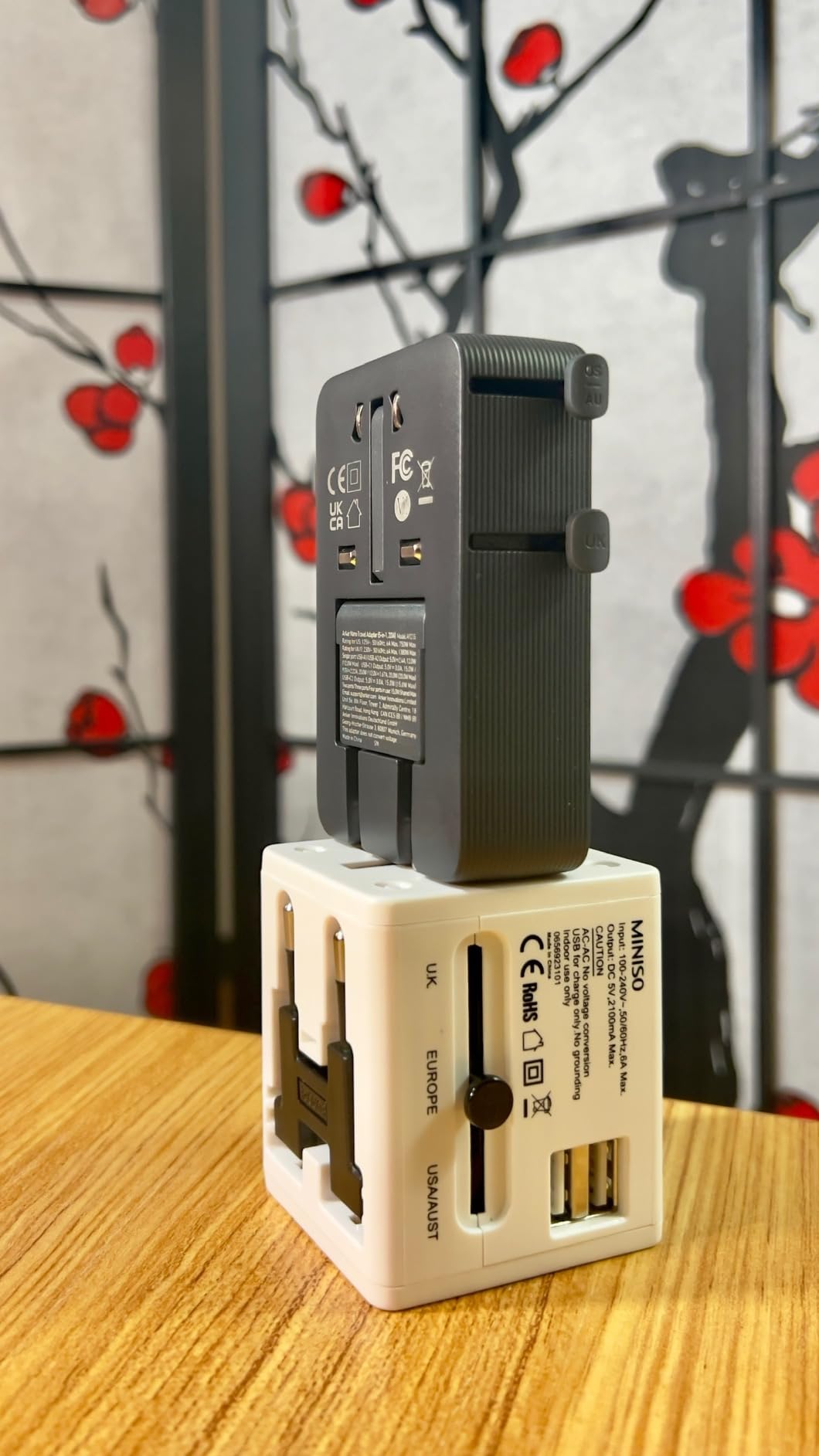 Anker Nano Travel Adapter, 2 USB C Universal Charger, 20W, 1x 2-Pin AC | European Power Plug, Smart Temperature Control, Works in 200+ Countries, Not a Voltage Converter, Travel Essentials(1-Pack) customer photo 2