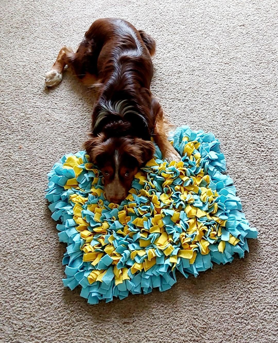 Snuffle Mat for Dogs, Sniff Mat Interactive Slow Feeding for Boredom, Mental Stimulation, Stress Relief & Natural Foraging, 24''x20'' customer photo 1