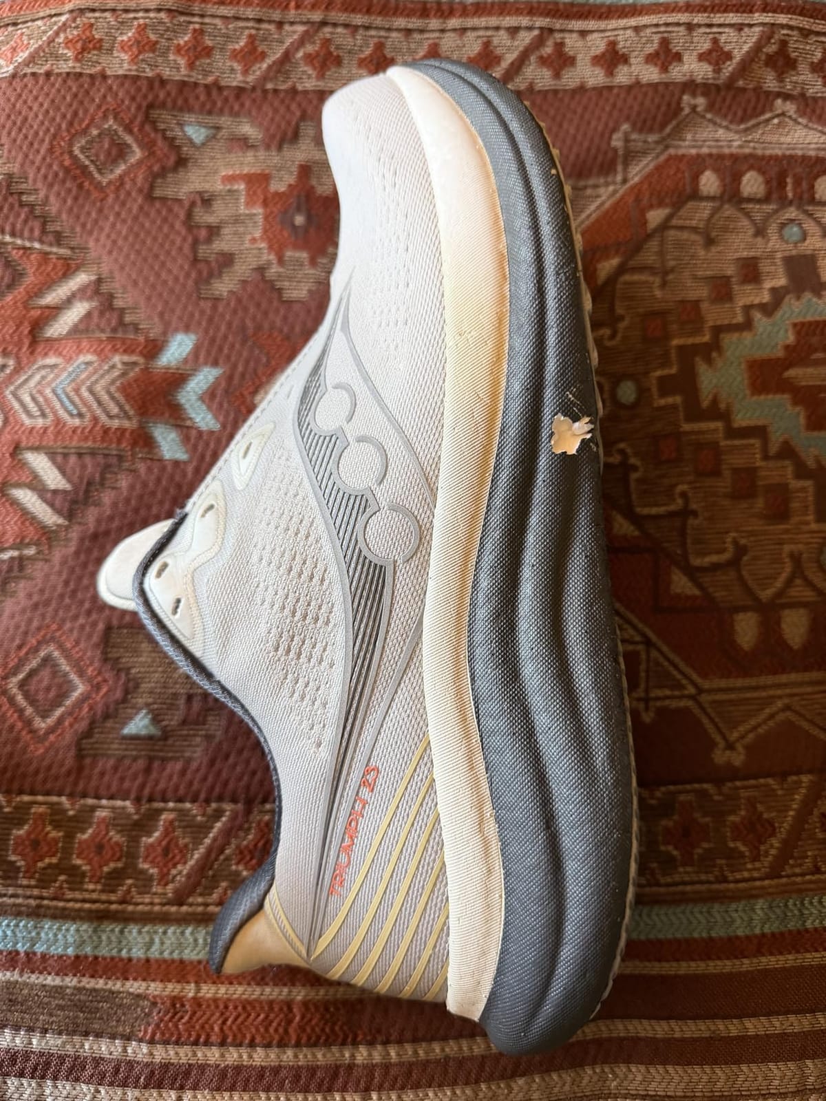 Saucony Men's Triumph 23 Sneaker customer photo 1