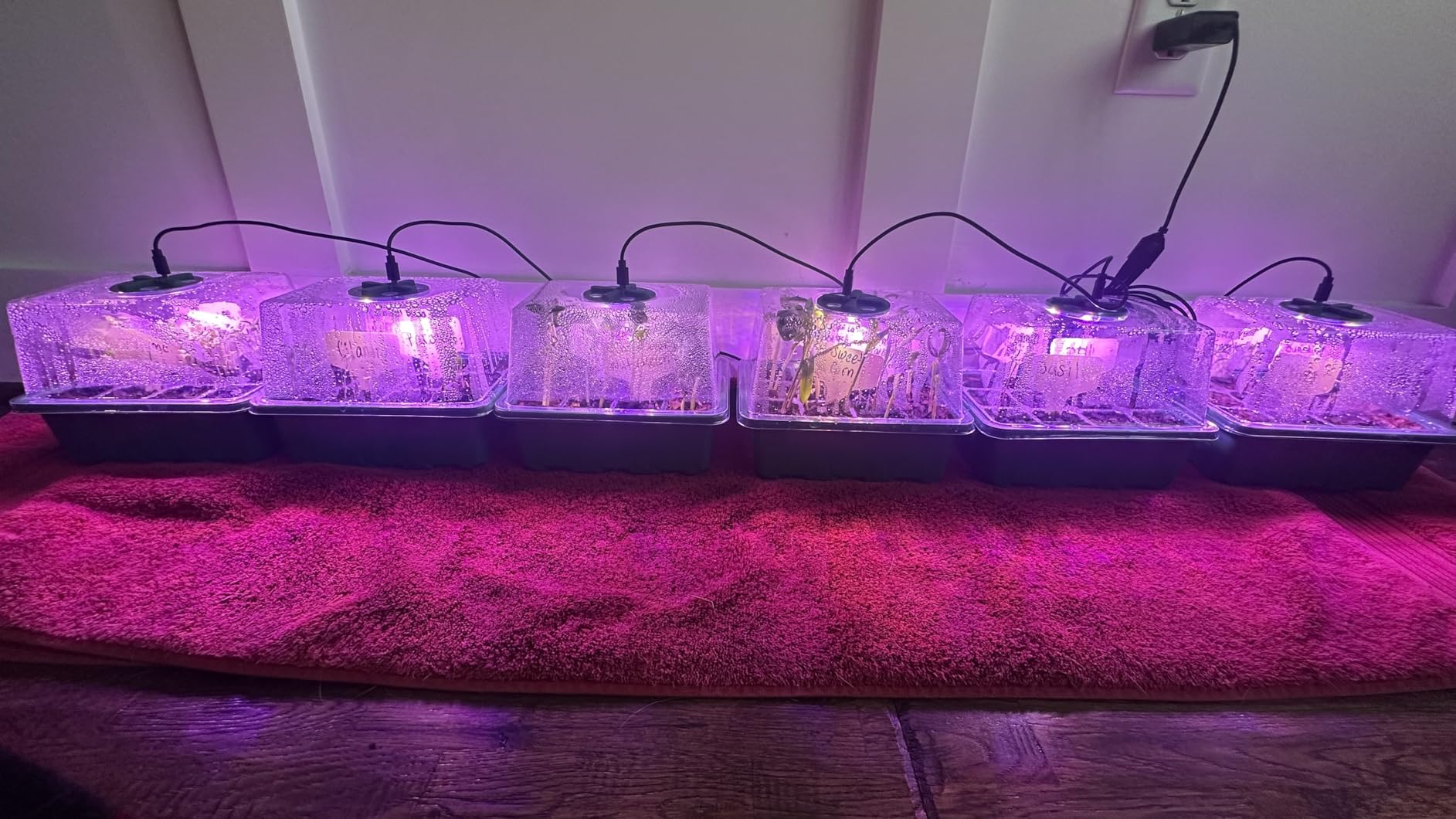 MIXC 6 Pack Seed Starter Kit with Grow Light, Vented Humidity Dome, Green customer photo 1