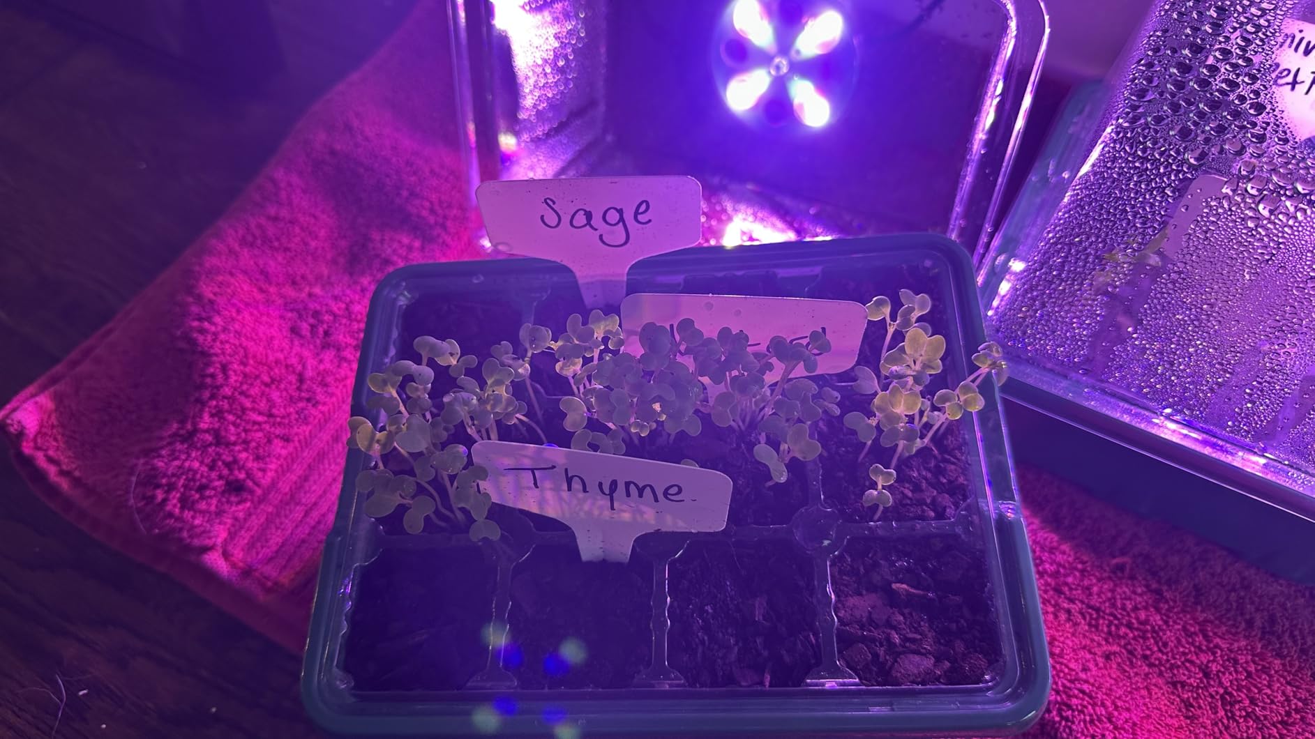 MIXC 6 Pack Seed Starter Kit with Grow Light, Vented Humidity Dome, Green customer photo 2