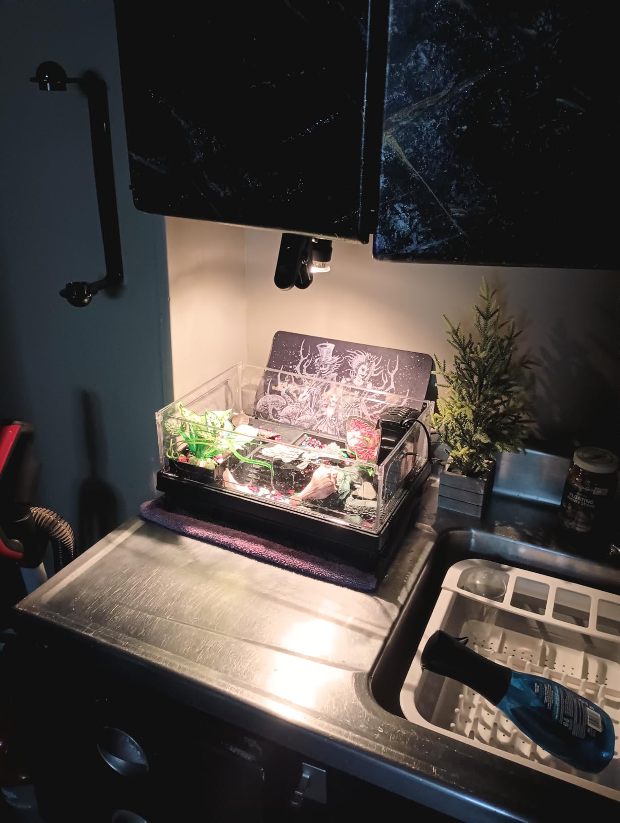 GOZILLA Small Turtle Tank Kit(Tank+Lamp+Filter), Acrylic Turtle Starter Kit with Adjustable Lamp, Reptile Habitat and Terrarium with Multi-Functional Areas for Small Reptiles. (Black Kit) customer photo 2