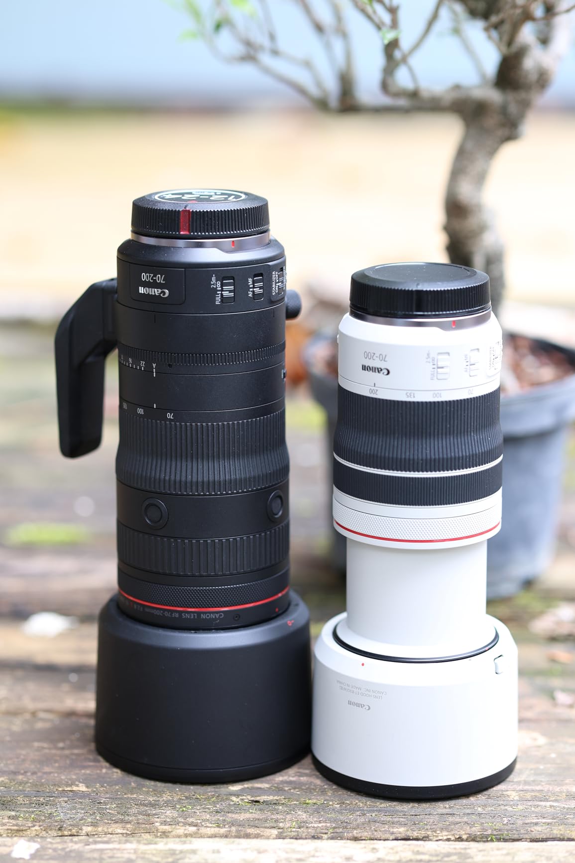 Canon RF70-200mm F2.8 L IS USM Z Telephoto Zoom Lens (White) customer photo 2