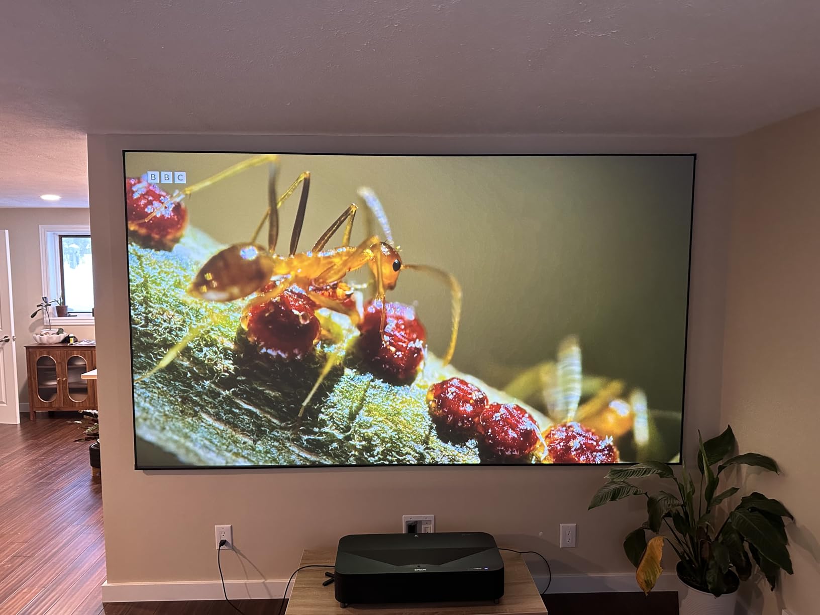 NothingProjector ALR Screen for Ultra Short Throw Projector, 120 inch | 95% Ambient Ceiling Light Rejecting, 4K/8K UHD Active 3D, Fixed Frame 16:9, Wall Mount Anti Daylight UST, Black Series customer photo 2