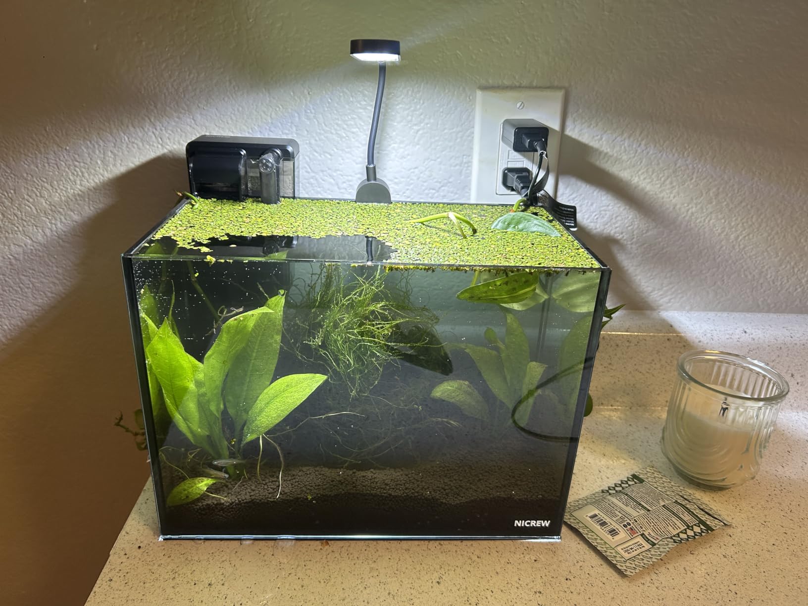 NICREW 2.5 Gallon Nano Nature Aquarium Kit, Ultra-Clear Rimless Desktop Fish Tank with Light, Filter, Gravel and Rock, Perfect for Small Fish, Shrimp, or Betta, Complete Version, Black customer photo 1