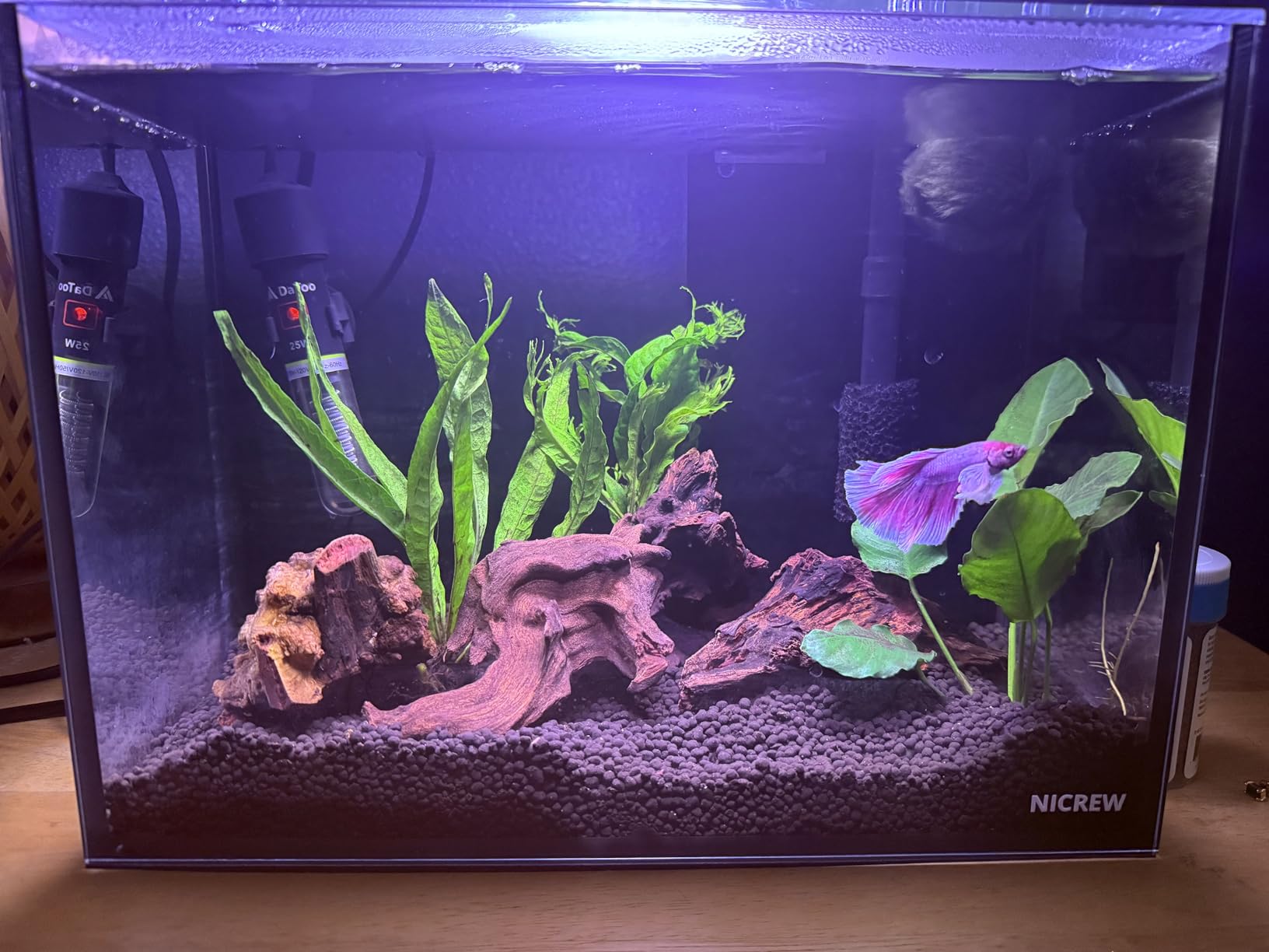 NICREW 2.5 Gallon Nano Nature Aquarium Kit, Ultra-Clear Rimless Desktop Fish Tank with Light, Filter, Gravel and Rock, Perfect for Small Fish, Shrimp, or Betta, Complete Version, Black customer photo 2