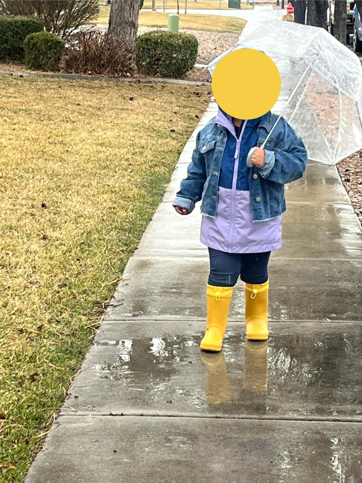 Kids Waterproof Fleece Lined Rain Boots customer photo 2