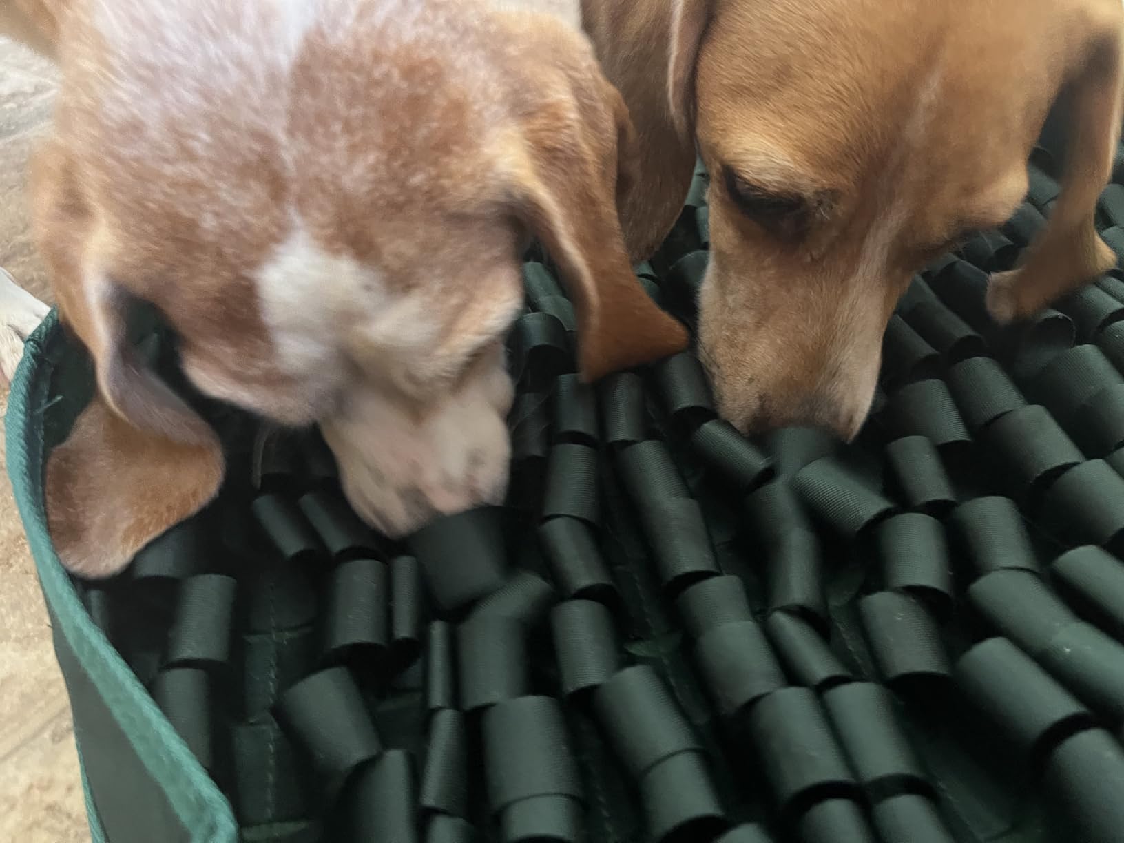 Reggie Snuffle Mat for Dogs, Calming Support, Reducing Speed Eating, Mental Stimulation, 20'' Large Diameter, Hunter Green customer photo 1