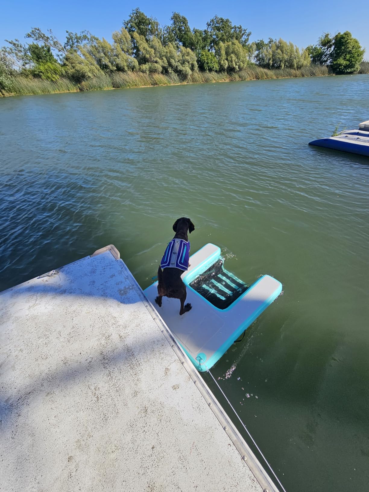 Inflatable Large Dog Water Ramp Float Floating Ramp-Swimming Pets Up to 200 Pounds Large Dogs-Inflatable Stairs for Boats, Docks, with Pump/Rope/Repair Kit - PVC Anti-Slip Fabric customer photo 1