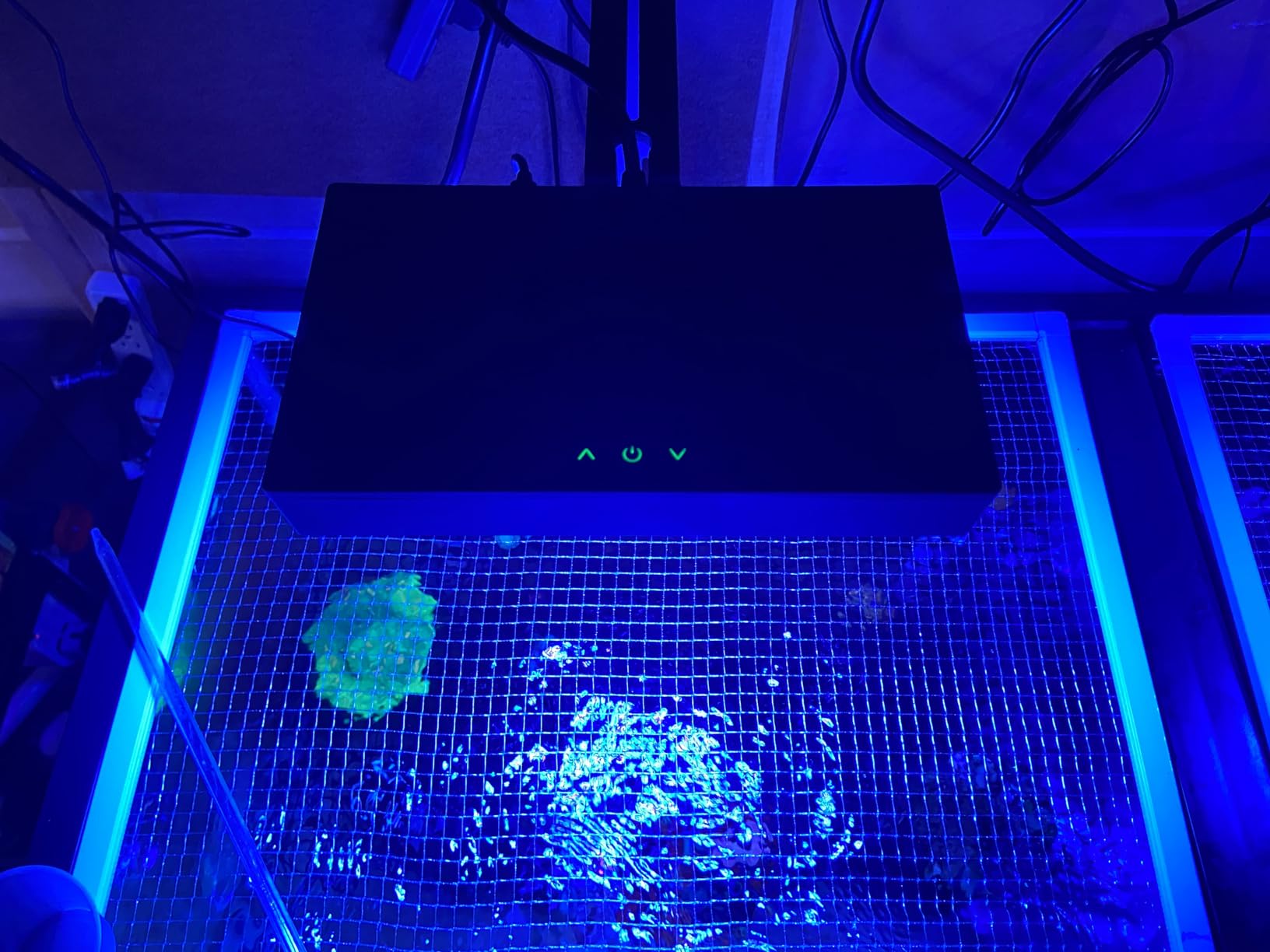 NICREW NavaReef 65 Reef LED Light, 65W Reef Aquarium Lighting for Soft/LPS Corals and Saltwater Fish Tanks, Built-in Timer, Blue Focused Spectrum customer photo 2