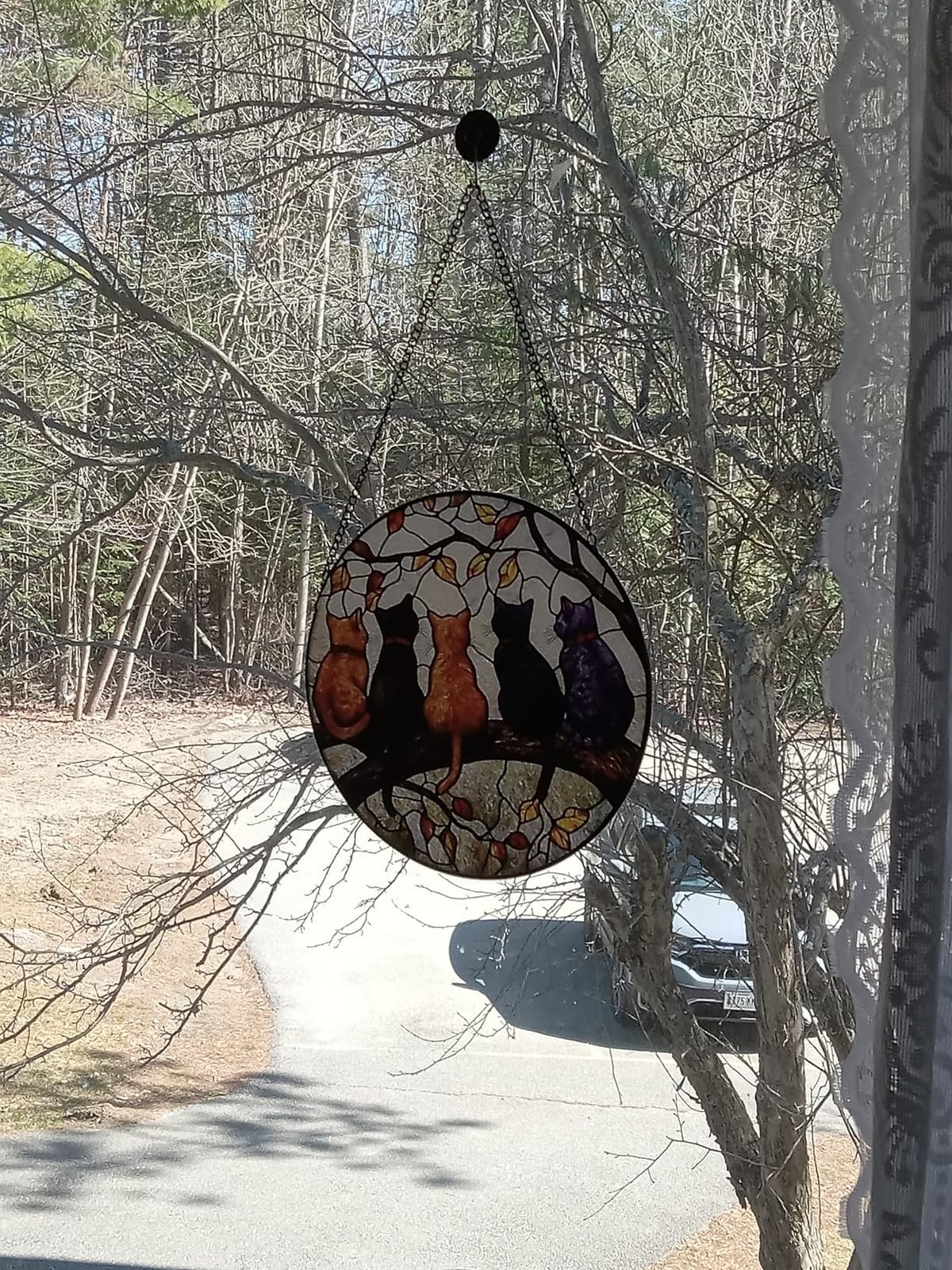 5 Cats on a Branch Stained Glass Window Hanging Suncatcher Gifts 6.3