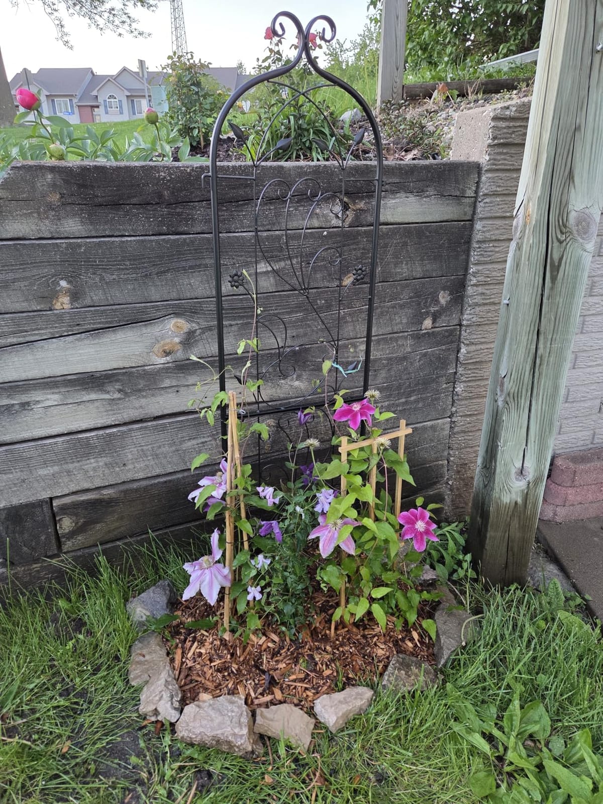 VEVOR Garden Trellis for Climbing Plants 87x20 in 4-Pack Metal Rose Trellis | For Flower, Outdoor Climbing Clematis, and Cucumbers Support, Rustproof Material, Decorative for Courtyards and Lawns, Black customer photo 1