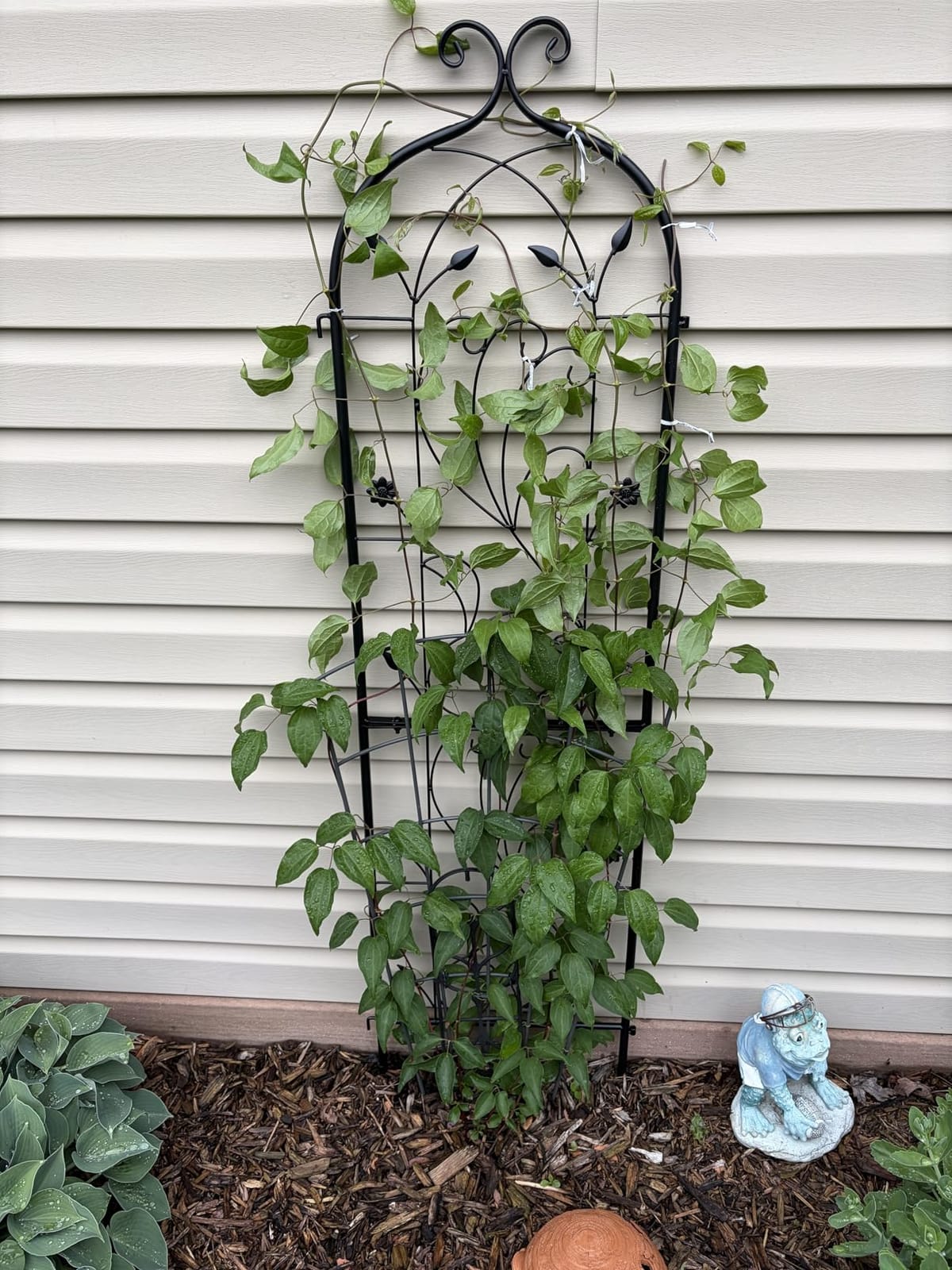 VEVOR Garden Trellis for Climbing Plants 87x20 in 4-Pack Metal Rose Trellis | For Flower, Outdoor Climbing Clematis, and Cucumbers Support, Rustproof Material, Decorative for Courtyards and Lawns, Black customer photo 2