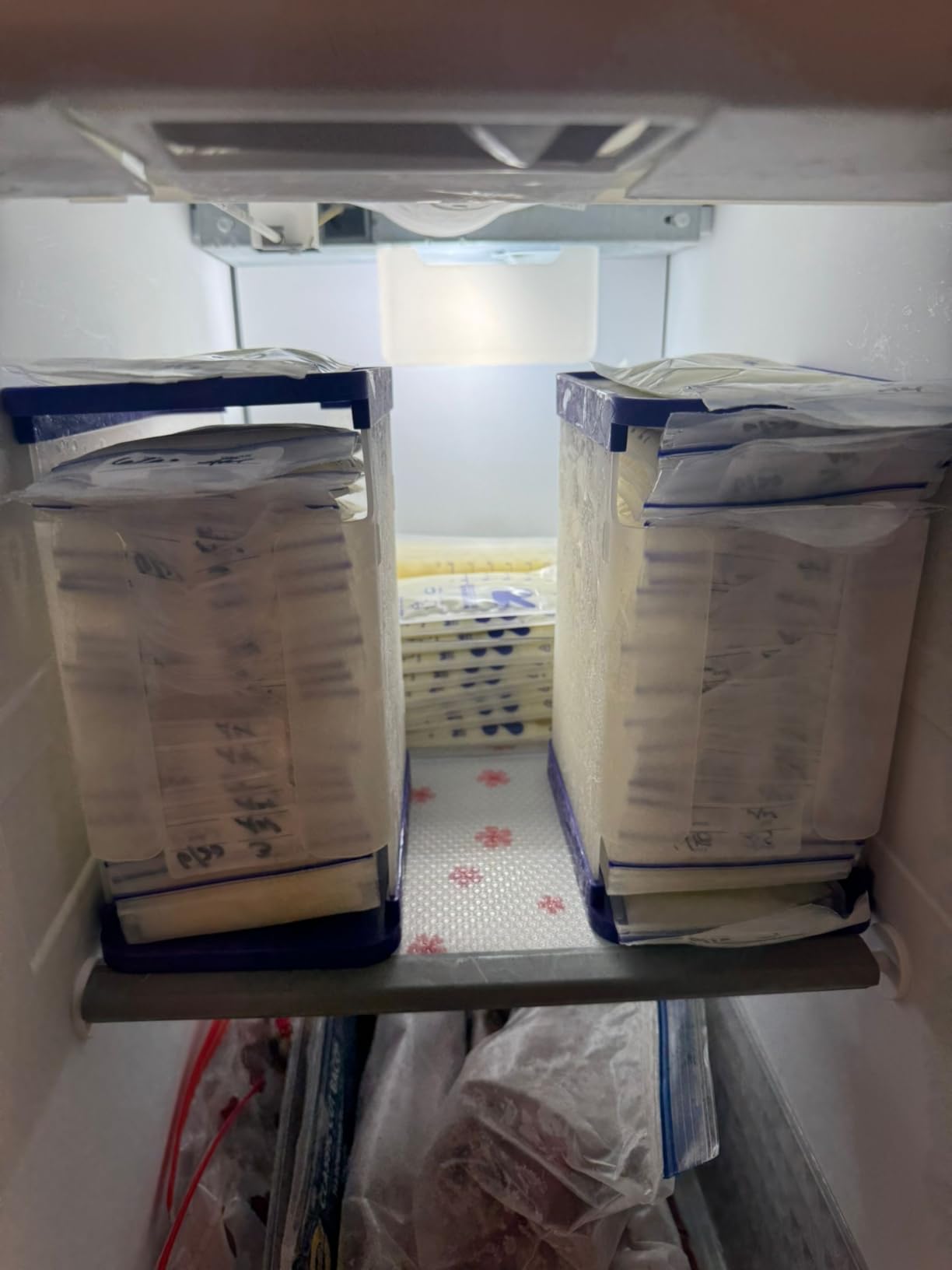 Lansinoh Breastmilk Storage Container with Quick-Freeze Tray customer photo 2