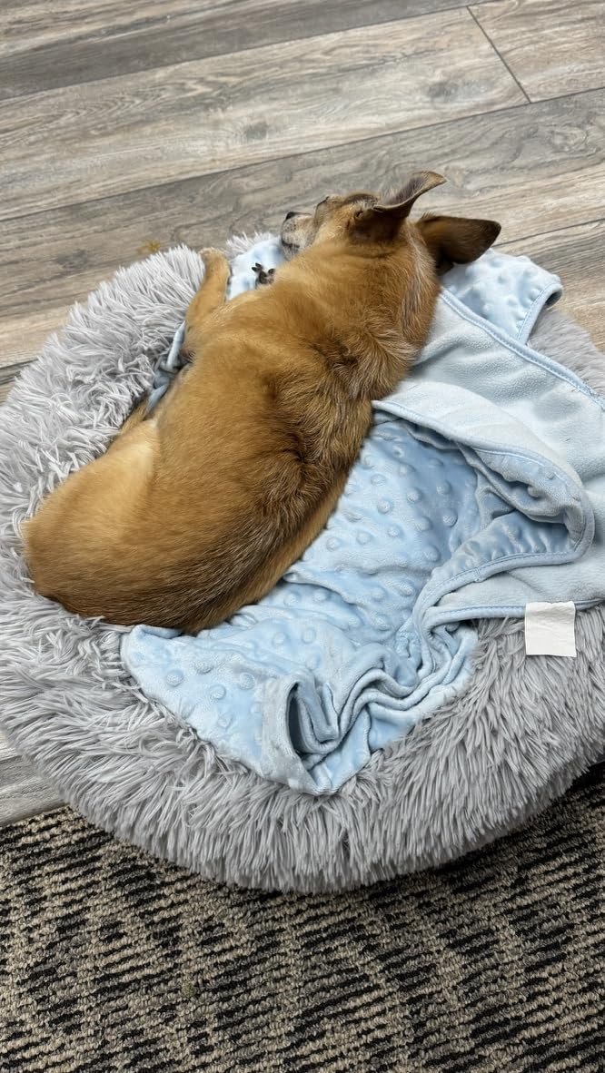Dog Beds Large Sized Dog and Cats, 32in Pet Beds for Large Pet (Camel), Fluffy Faux Fur Round Cuddler, Anti-Anxiety, Anti-Slip Bottom, Pet Beds for Washable Indestructible Extra Large, Up to 45 LBS customer photo 1