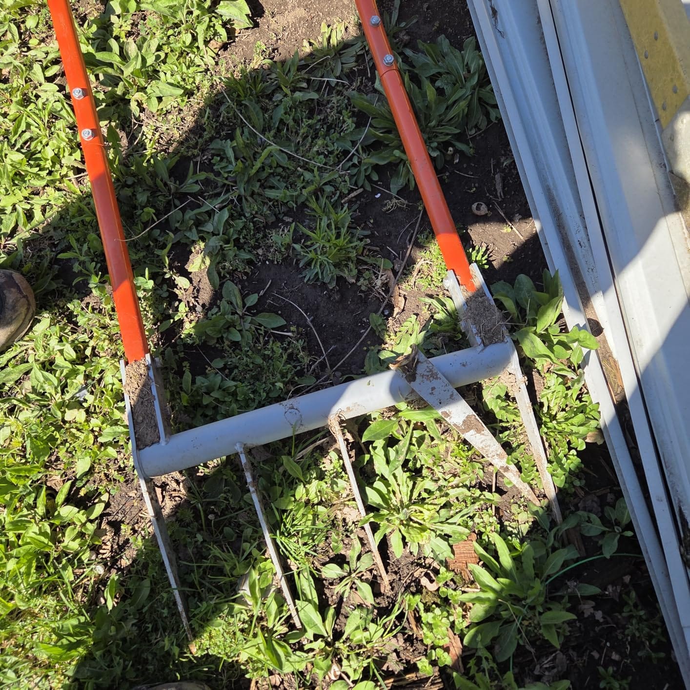 Broadfork 5-Tine Broad Fork for Gardening Ergonomic U-Shaped Design | Heavy Duty Broadfork Tool for Gardening Cultivating Farm Garden Digging Crushing Aerate Soil (Patent Pending) customer photo 2