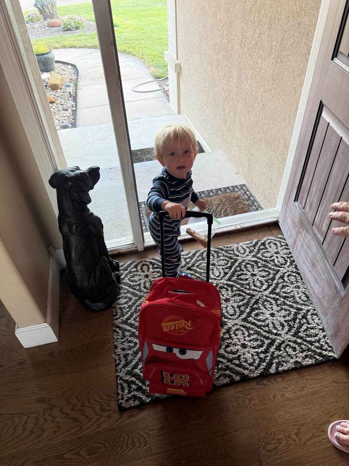 Disney Cars Lightning McQueen Carry-On Luggage with Wheels & Telescopic Handle for Kids 17