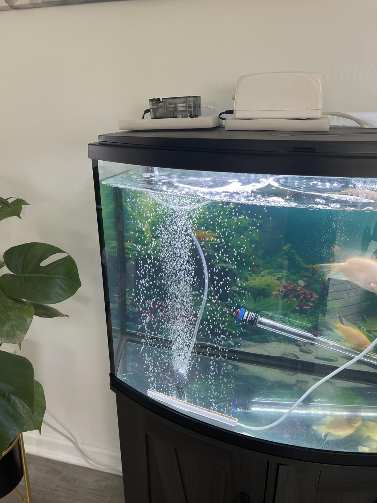 AQUASMITH Aquarium Air Pump,Ultra-Quiet/Small Size/More Output Air Pump for Fish Tank 1.5w/29GPH/14Kpa,with Air Stone Bubbler,Adjustable Airflow,Single Outlet Suitable for 20-40 Gallon Fish Tank customer photo 1