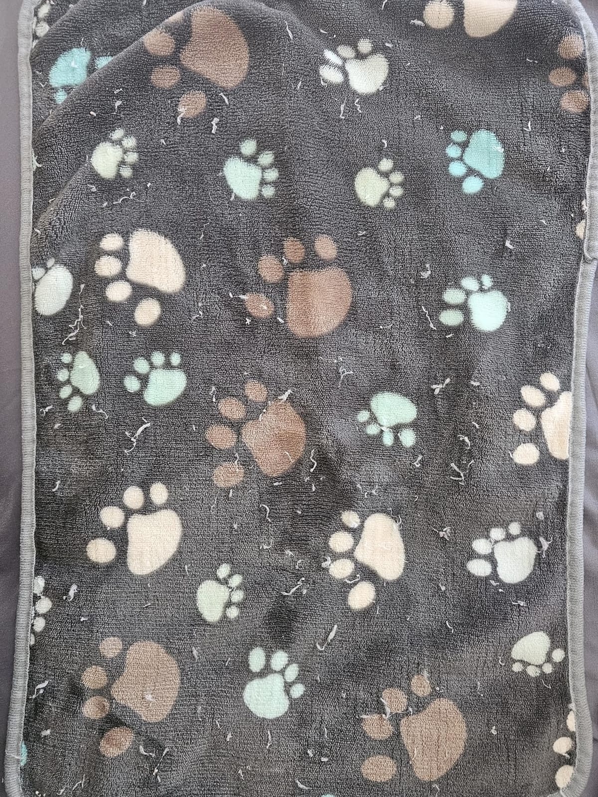 Tegeme 12 Pcs Puppy Blanket for Cat, 41 X 30 Inch Gray | Warm Soft Fluffy Fleece, Colorful Paw Print, Blanket for Dog Puppy Kitten Cat, Flannel Throw for Bulk Litter Gift Set customer photo 1