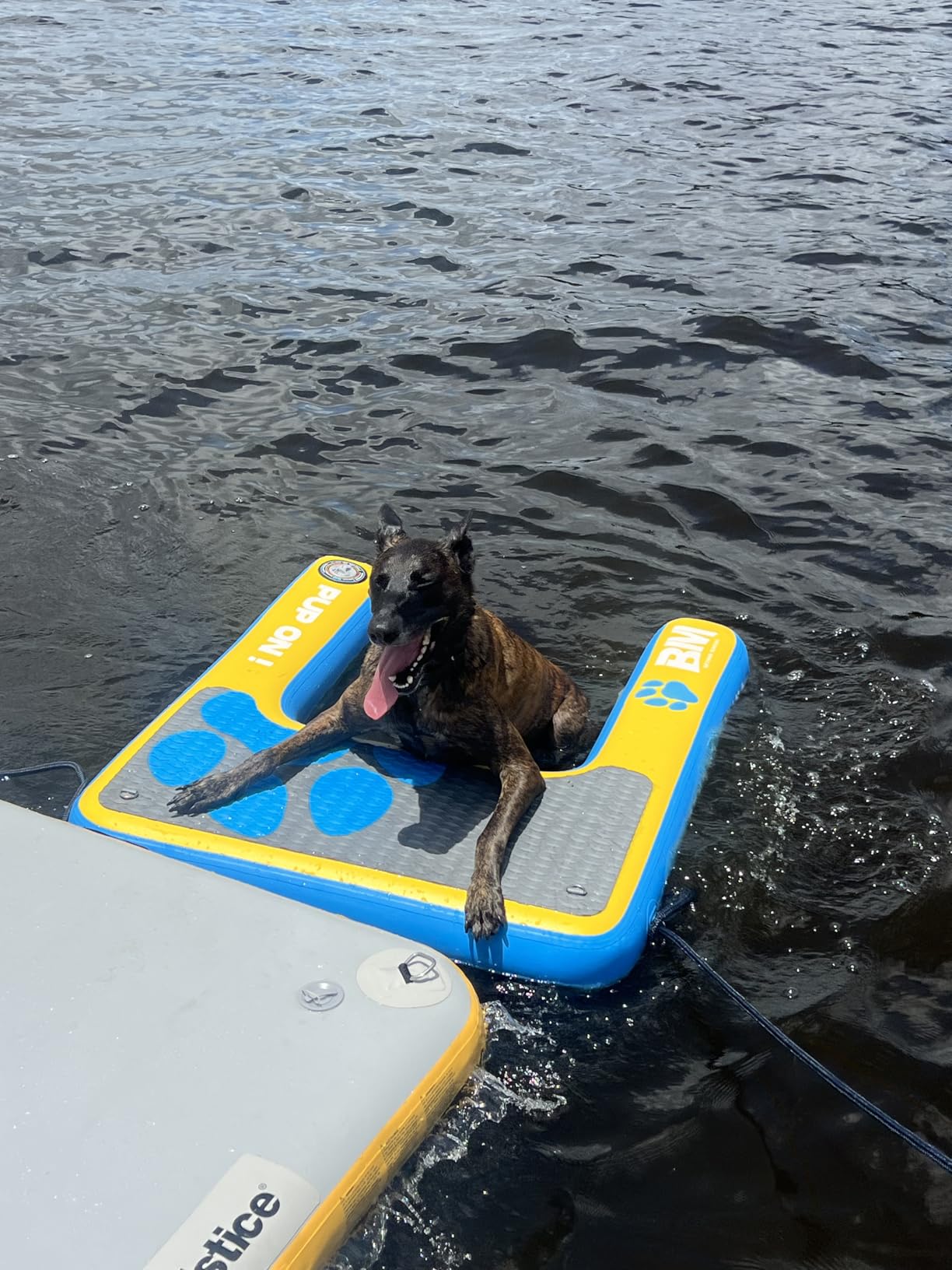 BM Inflatable Dog Pool Ramp, Dog Boat Ramp Supports Up to 250 lbs | Floating Dog Dock Ladder for Pontoon with Non-Slip EVA, Dog Water Ramp for Lake, PUP ON Standard, Teak/Yellow, 59