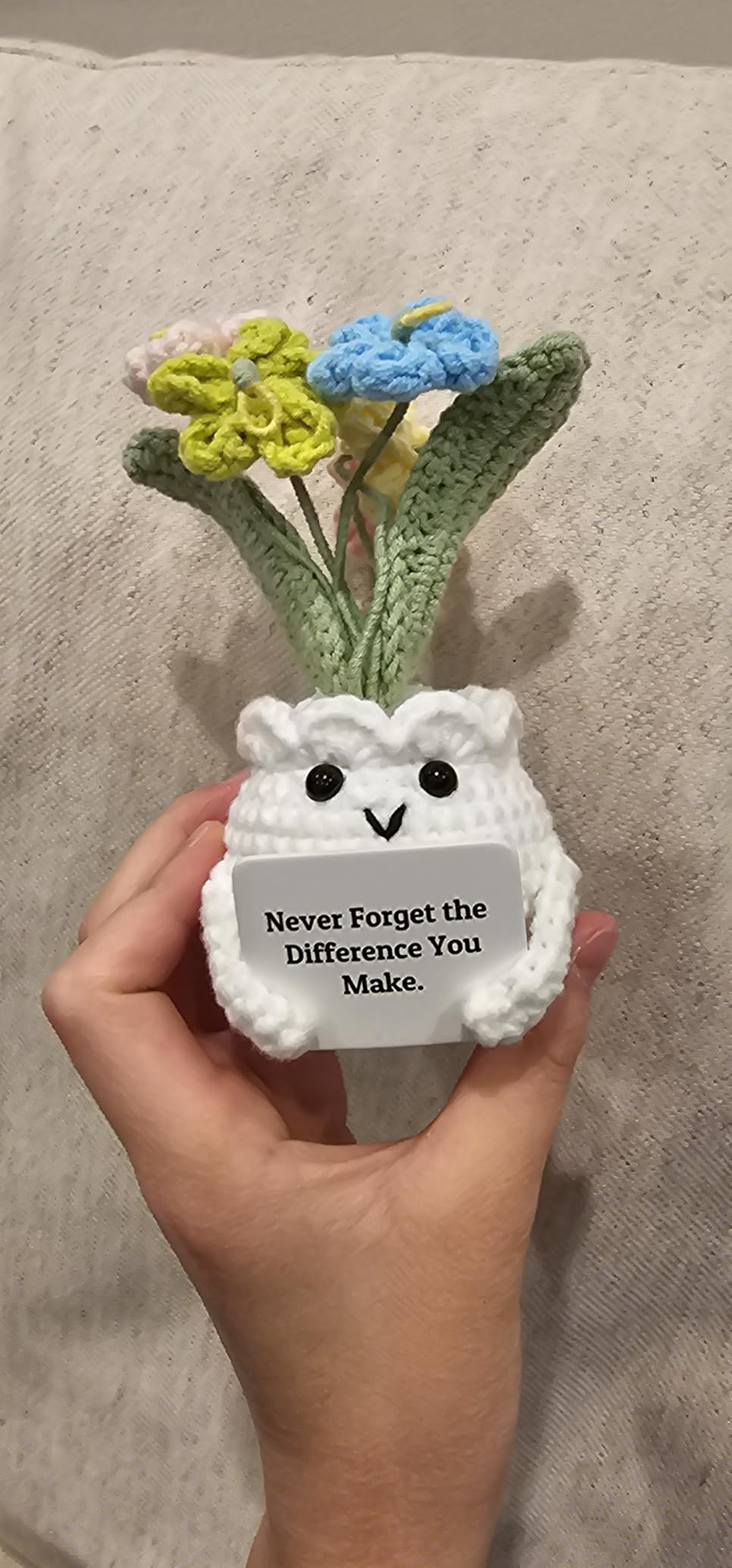 Forget-Me-Not Crochet Flower Potted Plant Gift | Difference You Make Gift, PET Display Box, Teacher Appreciation, Coworker, Employee, Thank You Gift, Handmade Desk Decor customer photo 2
