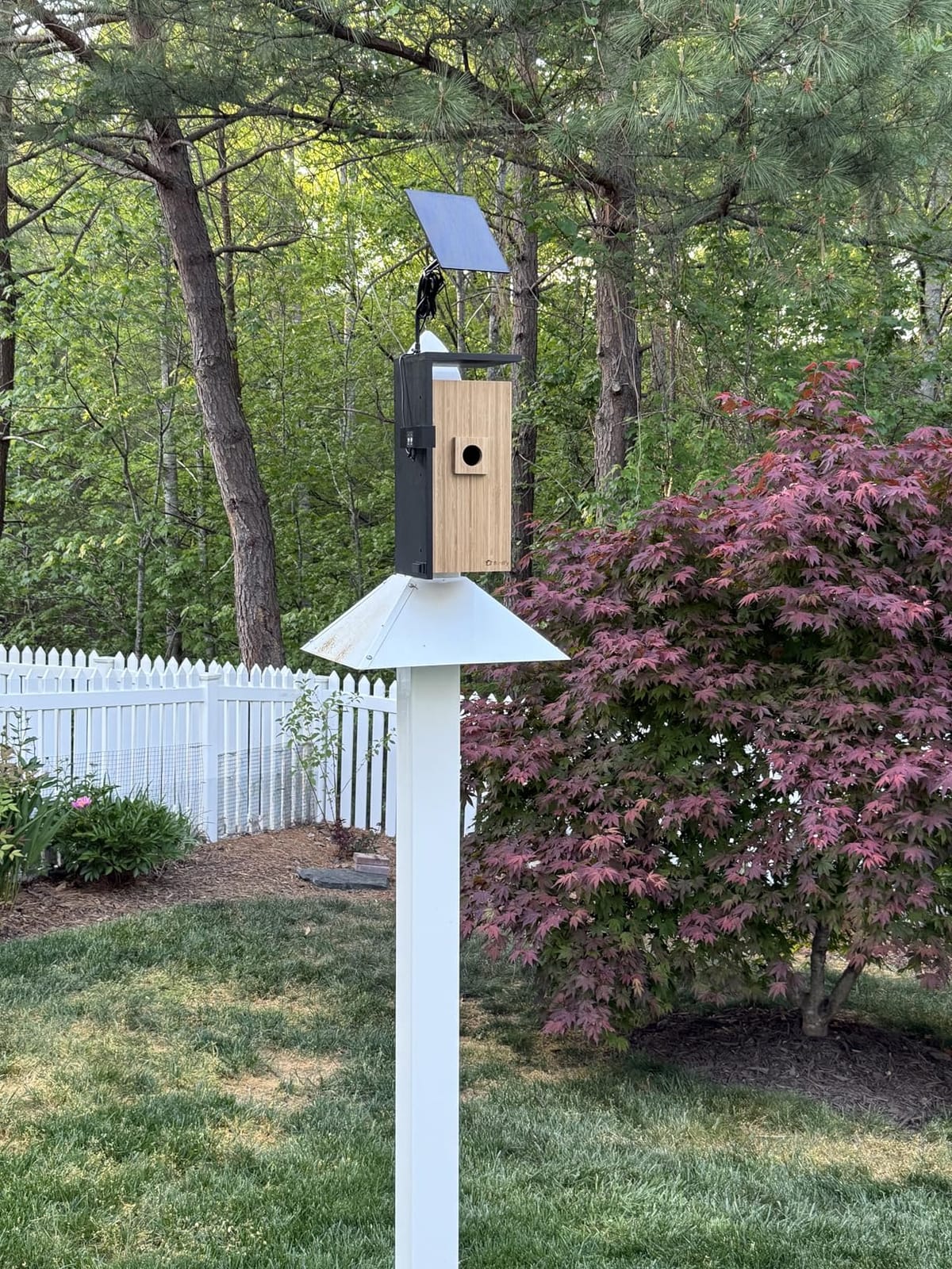 Birdfy Smart Bird House with Dual 1080P Cameras, Lifetime Free AI Bird ID customer photo 2