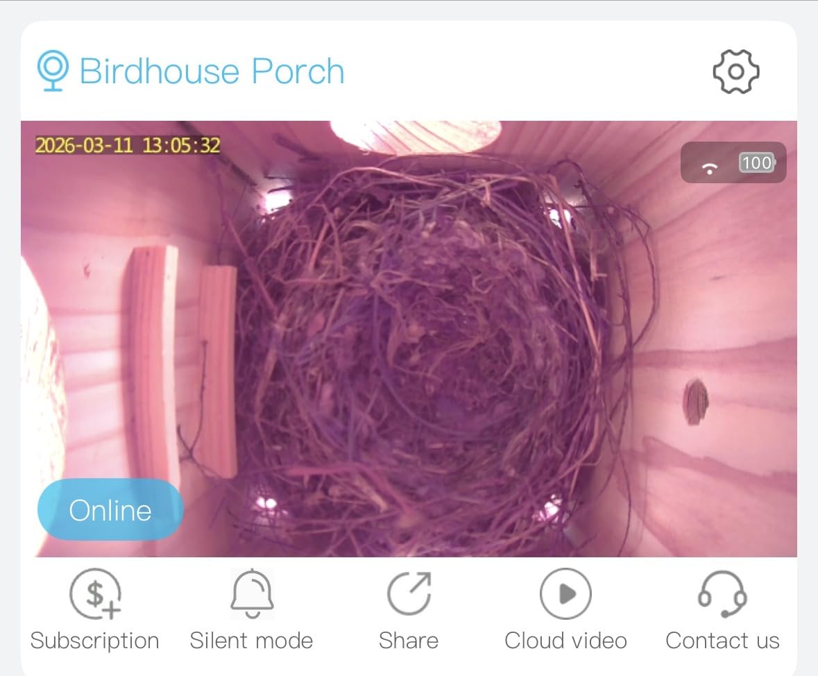 KinetCam Bird House with Camera Solar Powered,Isolated Camera Bay,Cedar customer photo 1