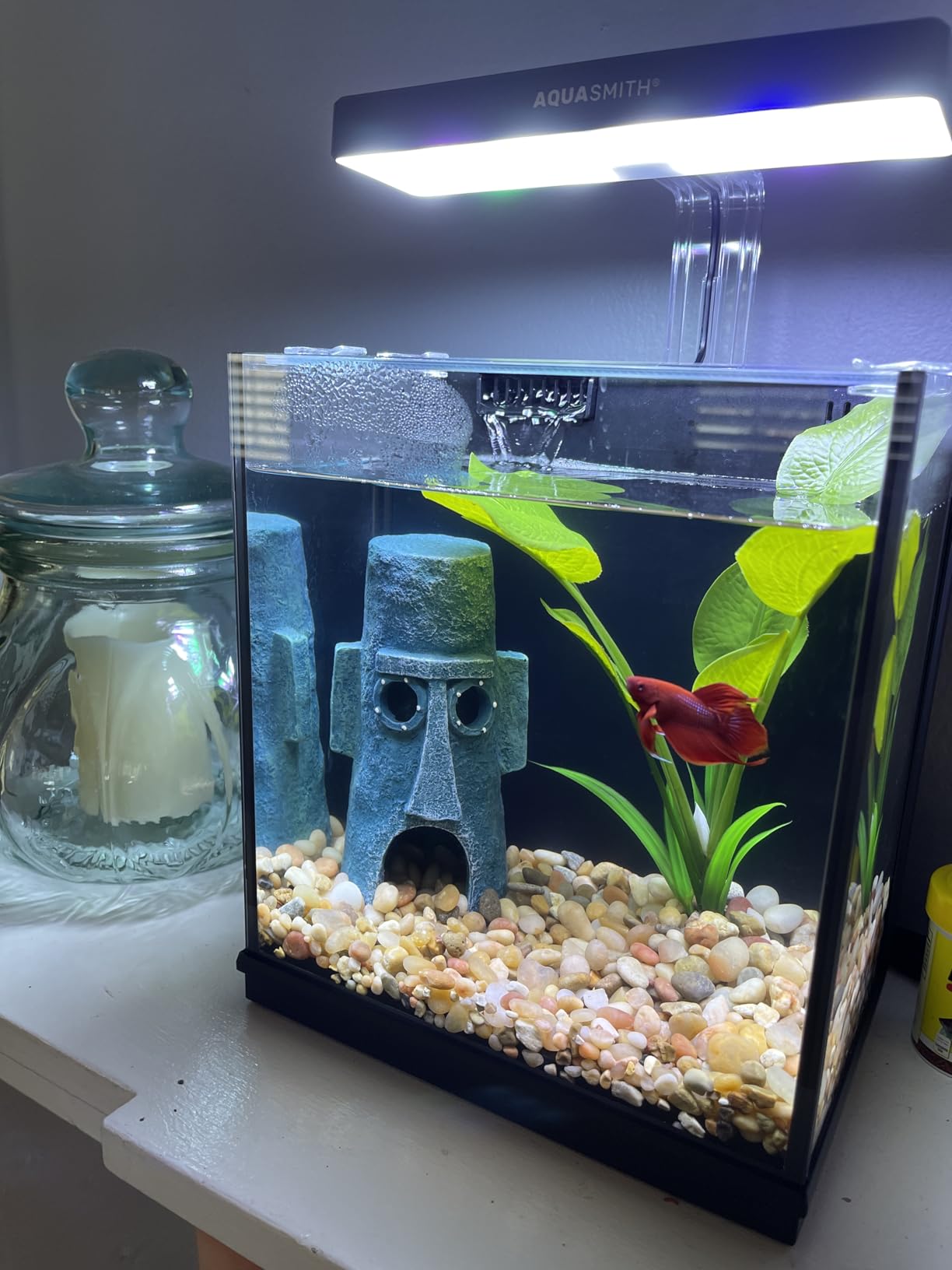 AQUASMITH 2-Gallon All-in-One Fish Tank - Silent Pump, 3-Stage Filtration & Easy Water Change, Perfect Self-Care Betta Aquarium Kit for Kids & Beginners (White) customer photo 2