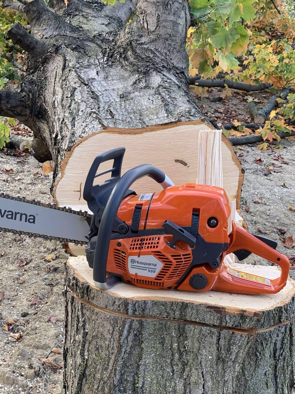 Husqvarna 555 Professional Gas Chainsaw, With X-Cut Chain, Outdoor Tools customer photo 1