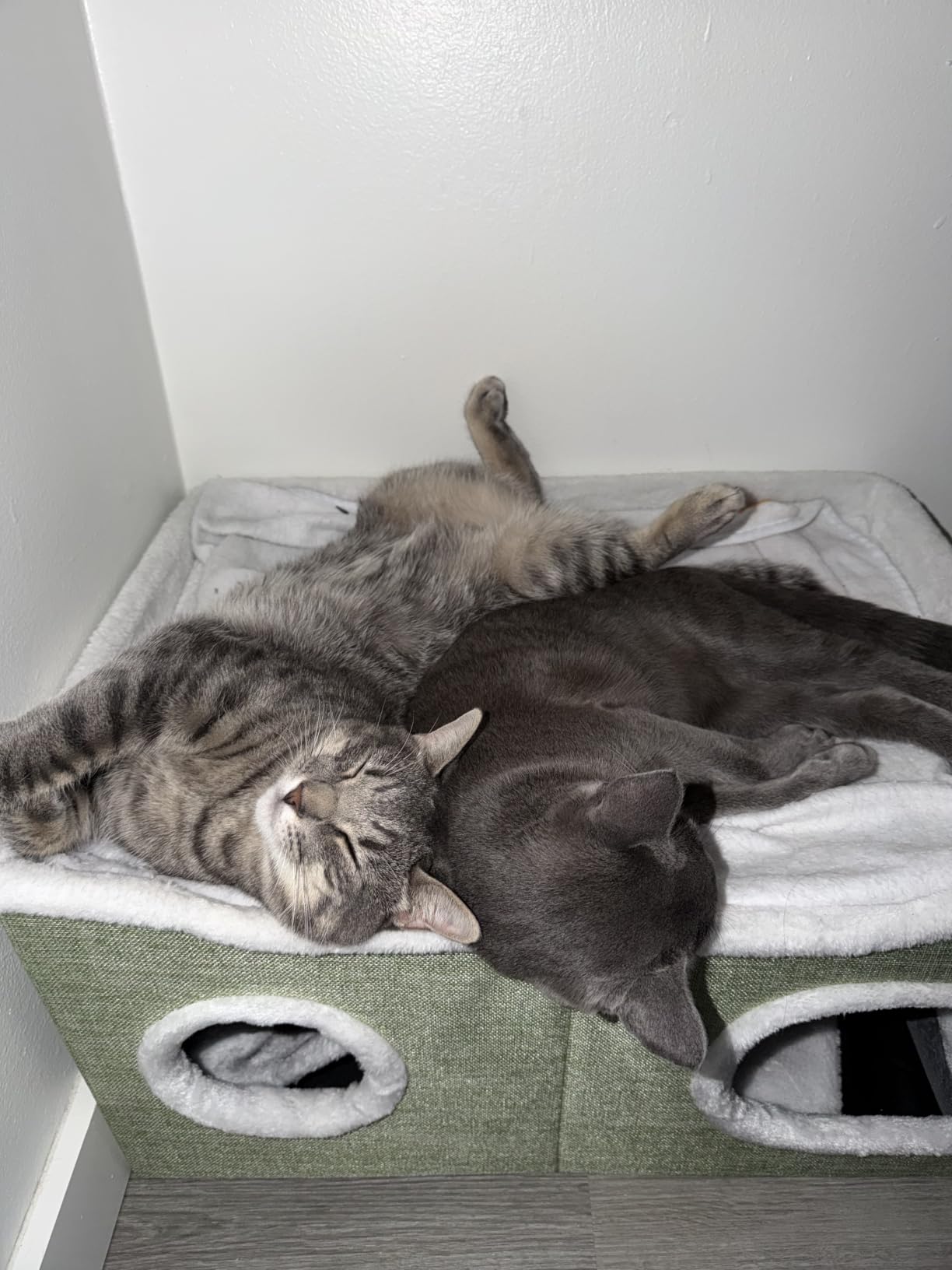 Extra Large Cat Beds for Indoor Cats, Covered Cat Cave Beds & Furniture with Scratch Pad and Fluffy Ball, Foldable Cat Condo Hideaway with Reversible Cushion for Multi Small Pet Large Kittens, Grey customer photo 2