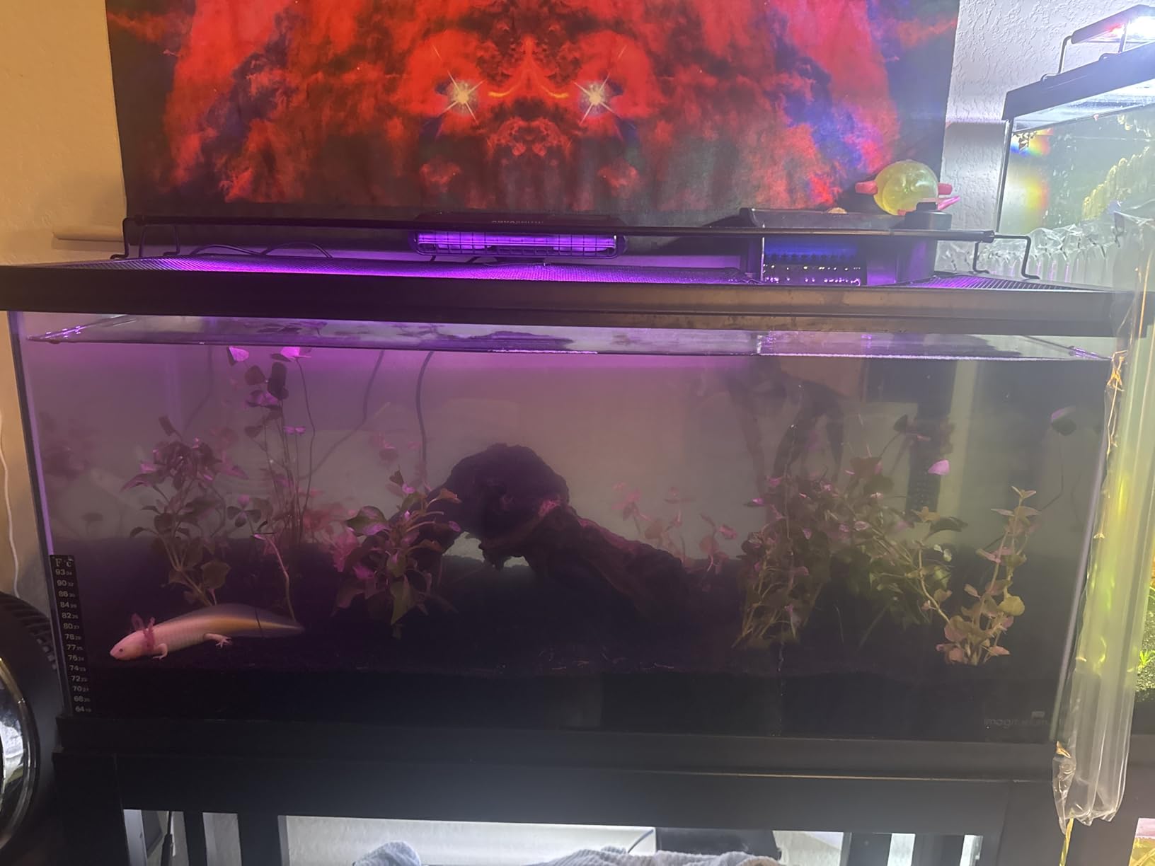 AQUASMITH Aquarium Chiller Fan, Fish Tank Cooler with Temperature Control, Minimum Setting 59℉, Auto Start/Stop, Refrigeration Effect 3-7℉, 3-Speed Modes, for Axolotl Seawater Freshwater Coral Grass Tank customer photo 1