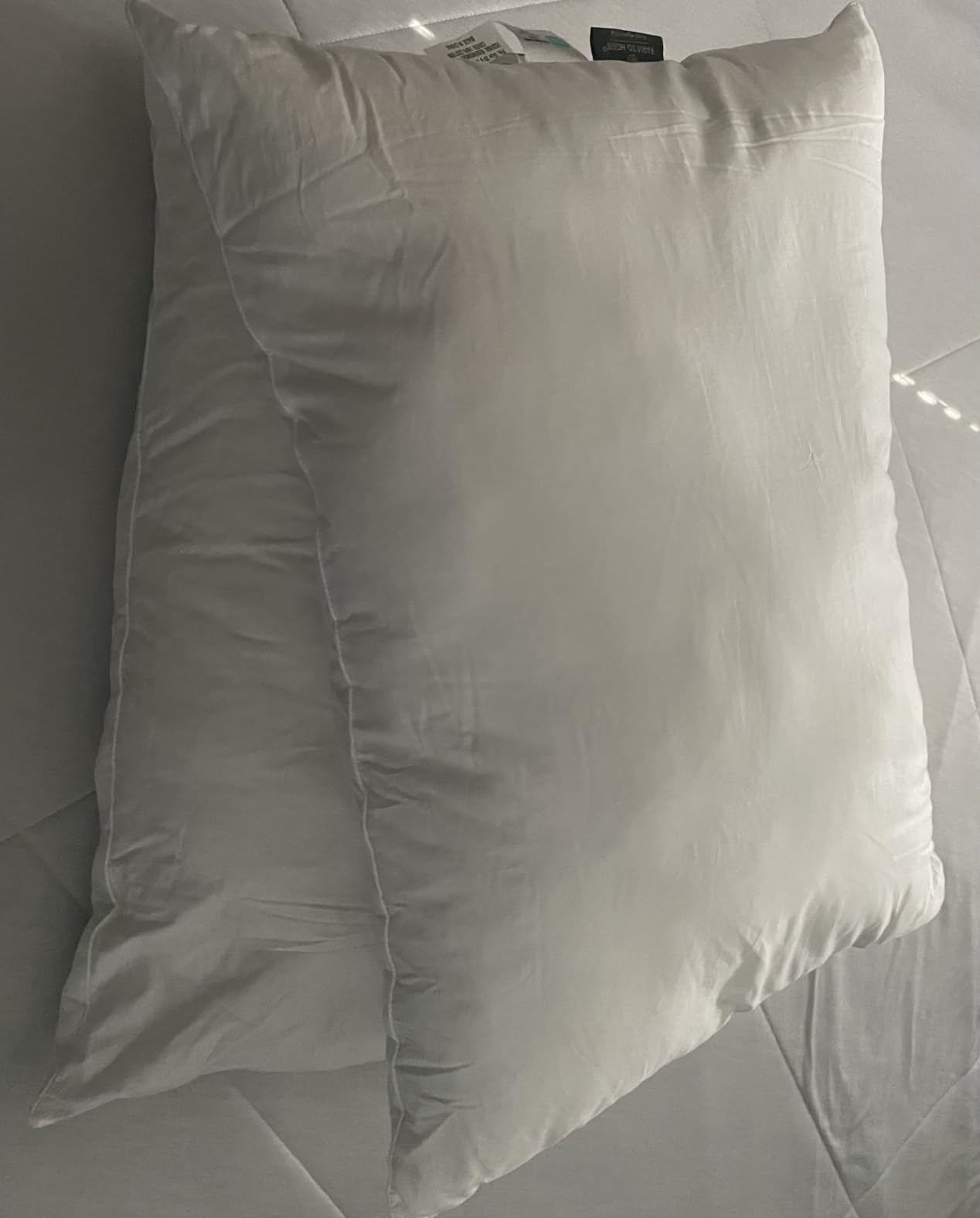 Farm To Home 100% Organic Cotton Cover Pillows Queen/Jumbo Size Set of 2 customer photo 1