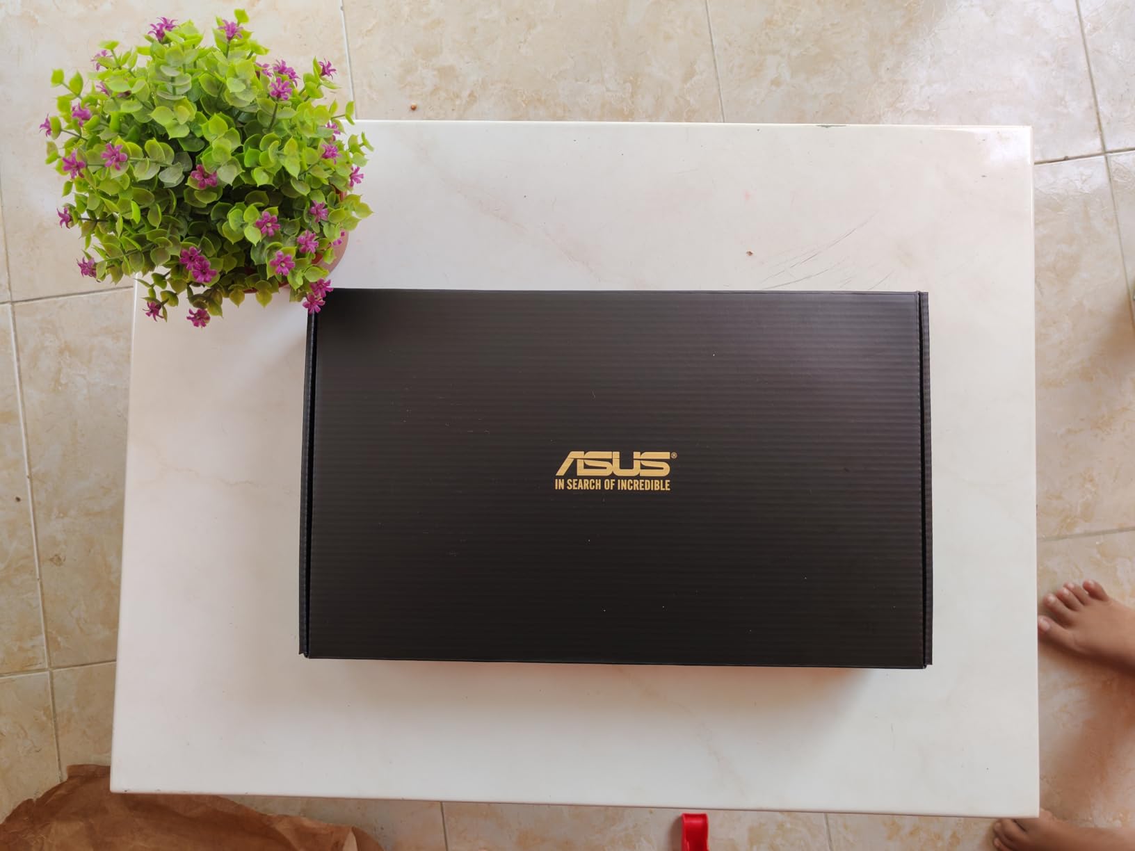 ASUS Dual NVIDIA GeForce RTX 5060 8GB GDDR7 OC Edition Gaming Graphics Card customer photo 2
