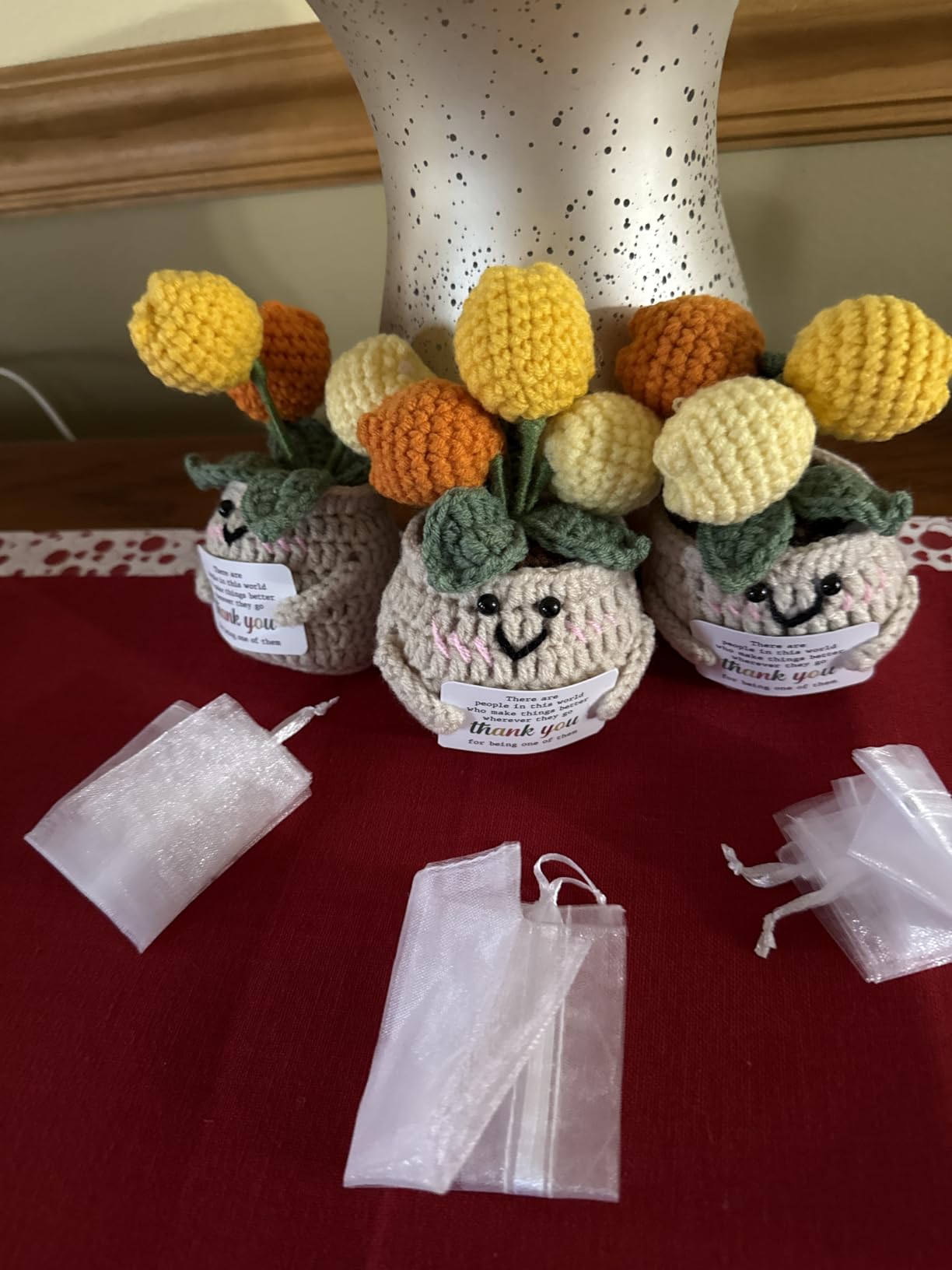 OASSIE Thank You Gifts for Women - Positive Emotional Support Crochet Tulip | Employee Appreciation Gifts for Coworkers Boss Nurse Friend, Retirement Gift for Woman, Back to School Teacher Gift customer photo 1